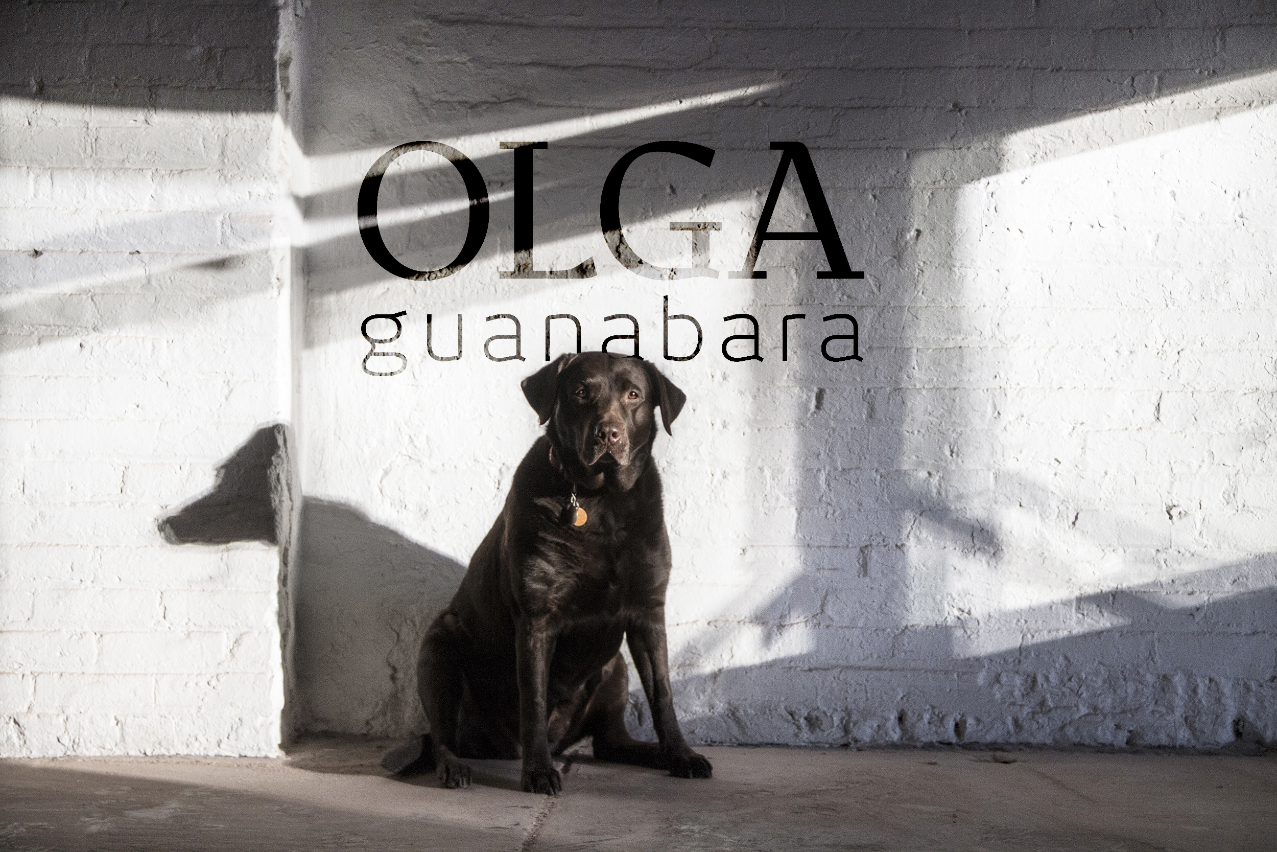 OLGA_guanabara.jpg