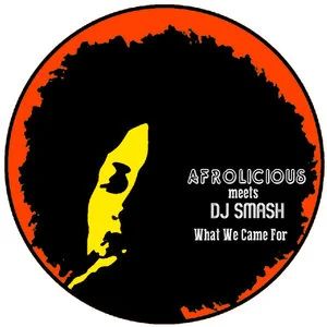 What+We+Came+For+(DJ+Smash+Remixes)+-+EP+(2015).jpg