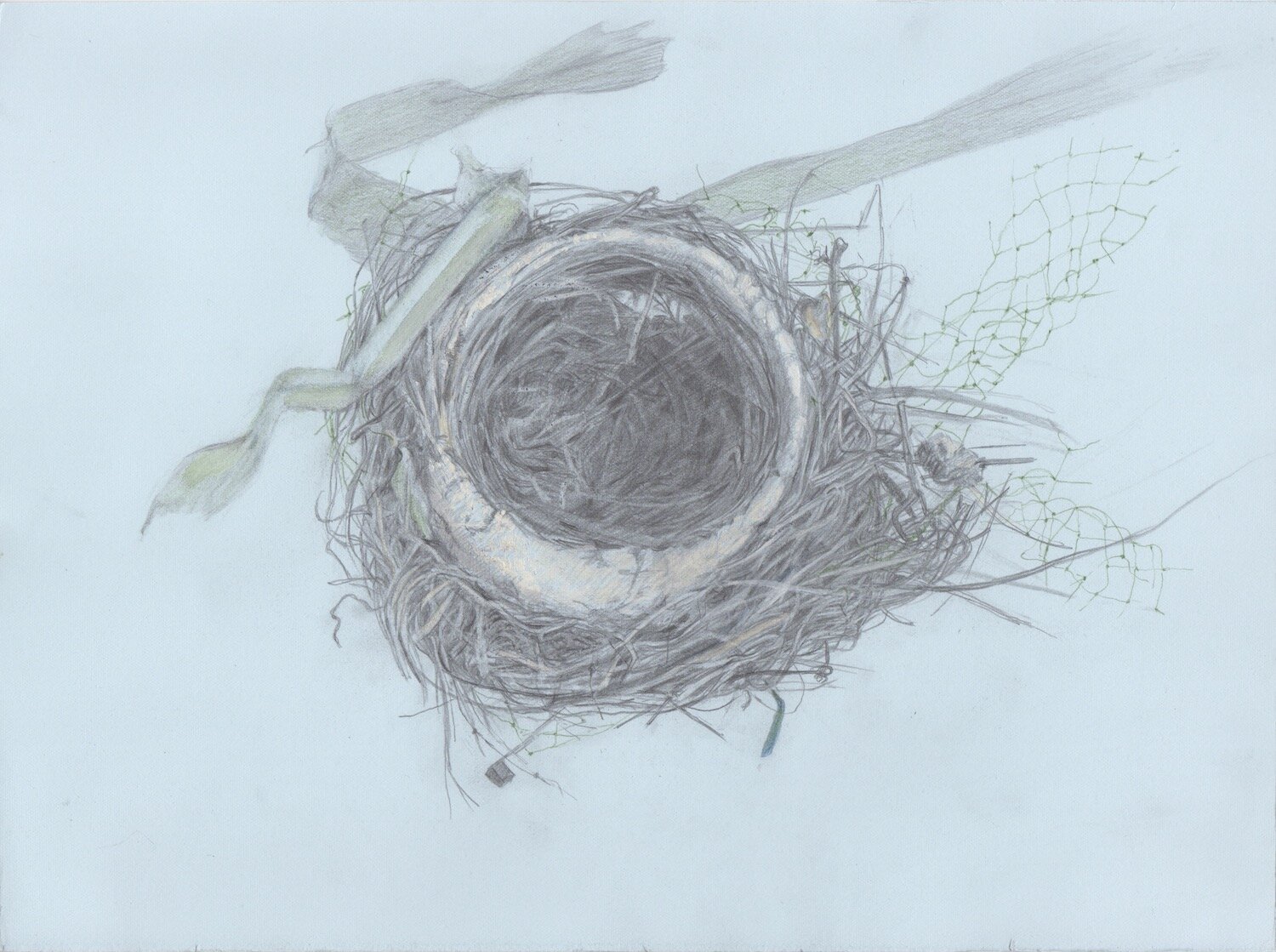 Ashwini's Nest (robin)