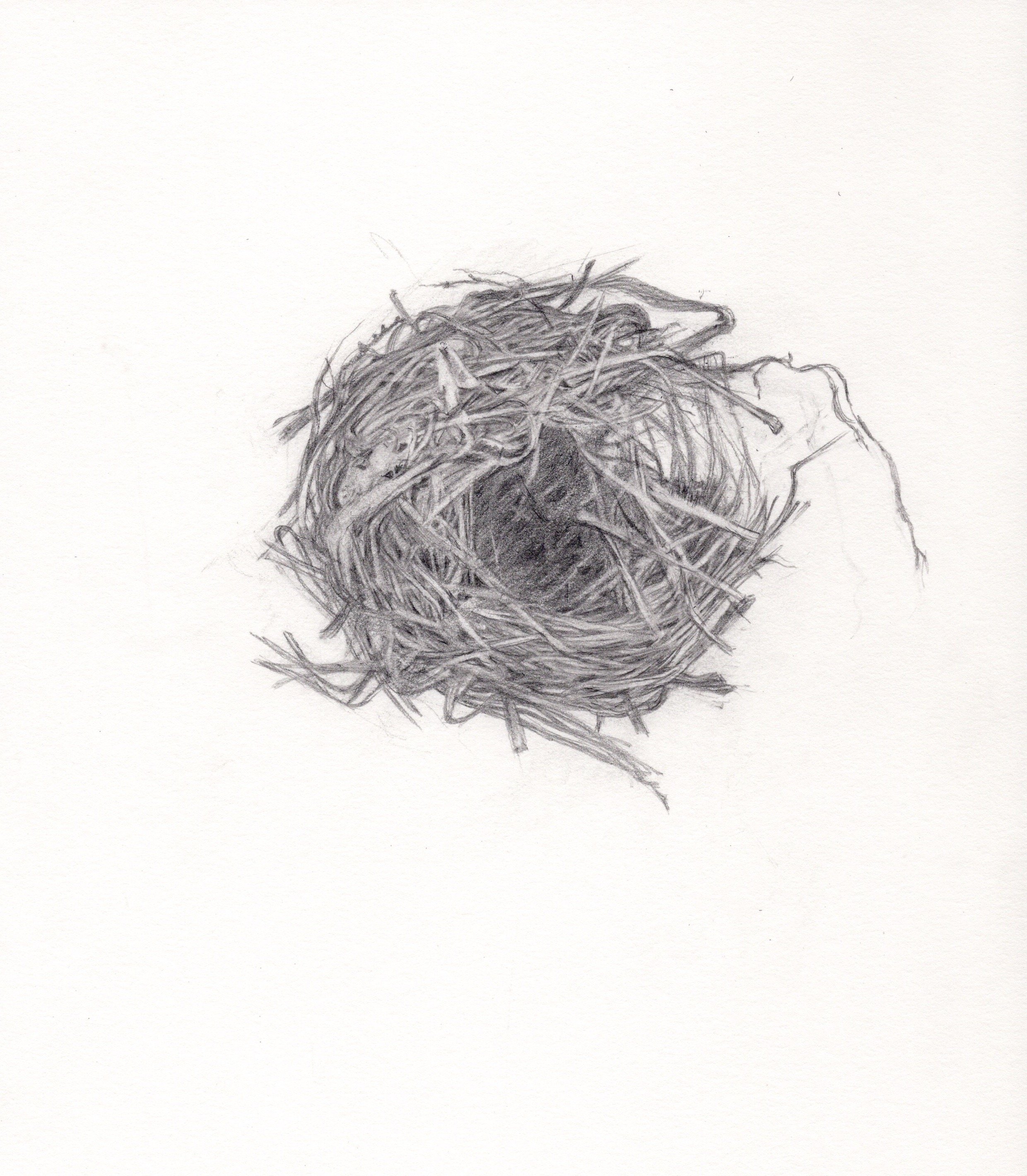 Broken Nest