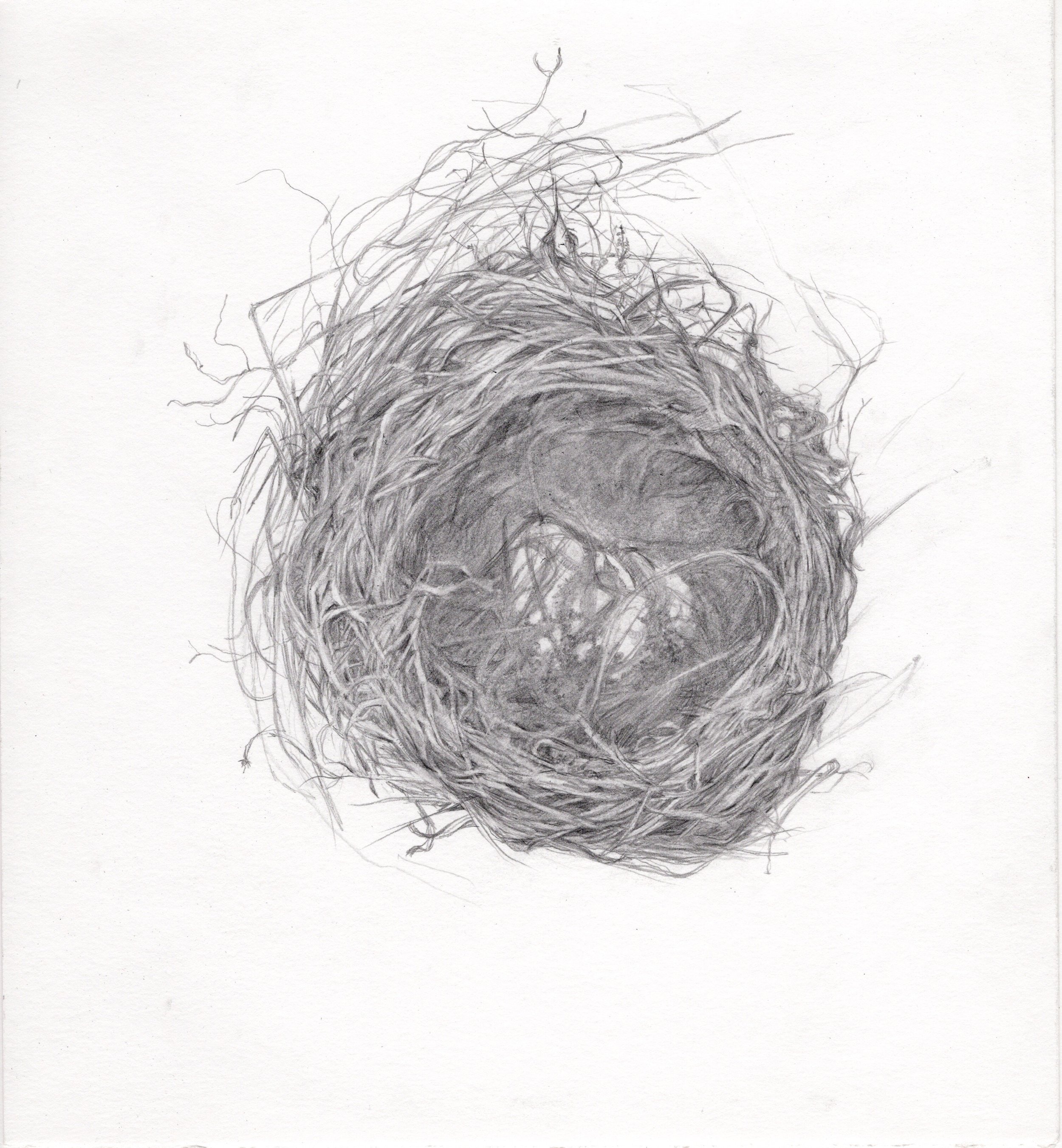 Esme's Nest