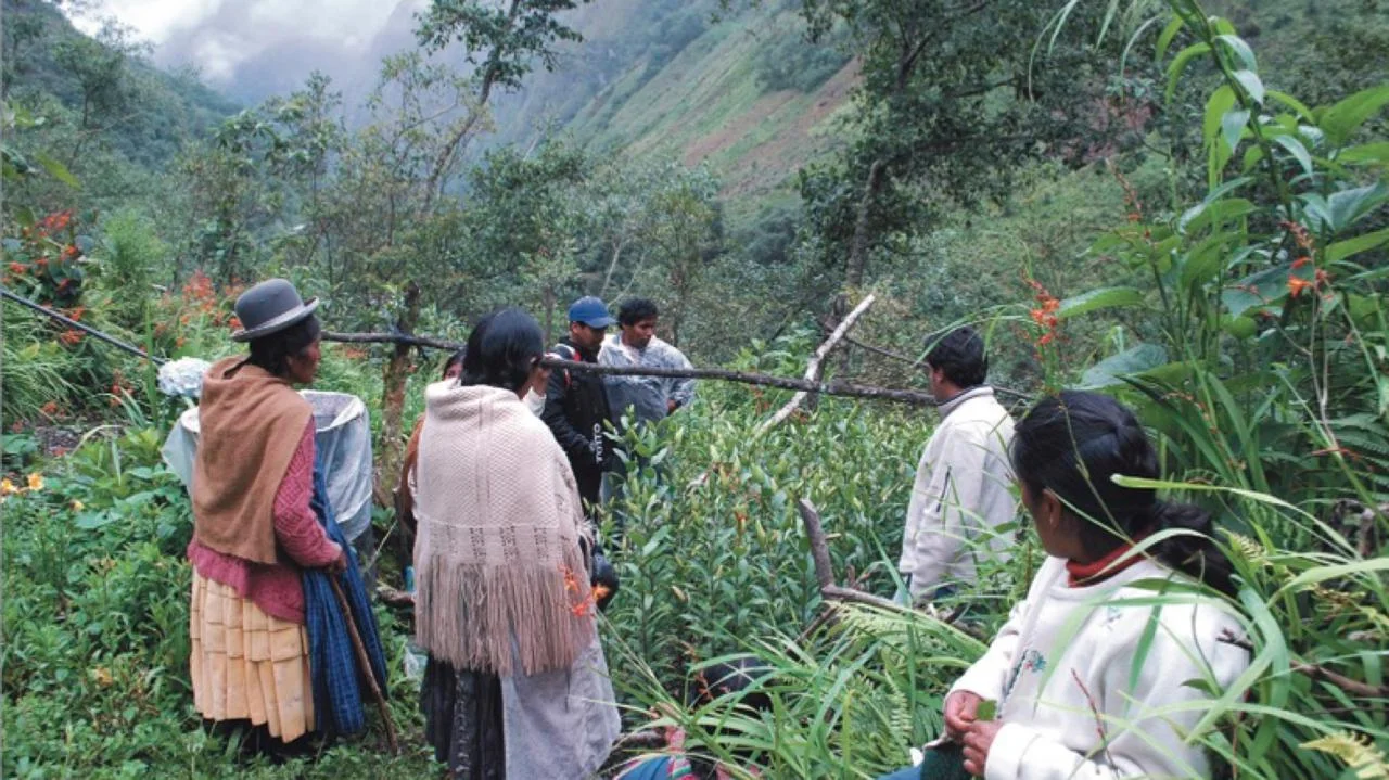 lilygarden-bolivia.jpg