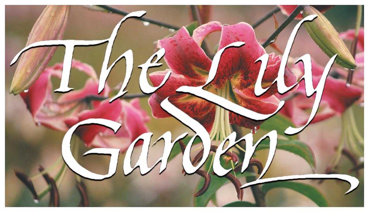 About The Lily Garden