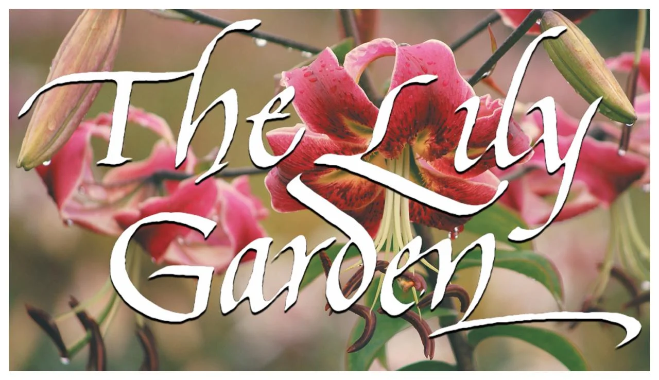 About The Lily Garden — The Lily Garden