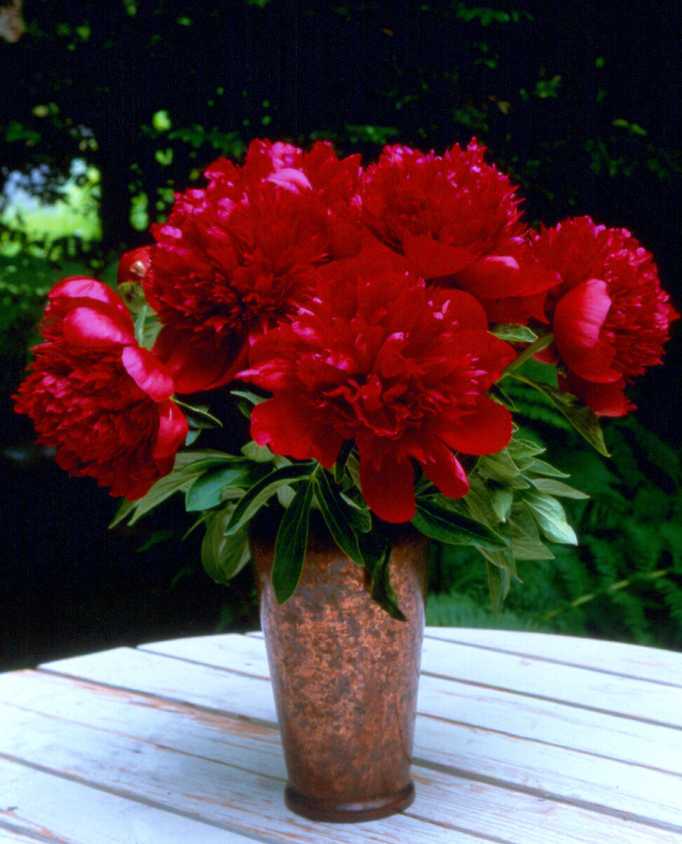 RedChVase2.jpg