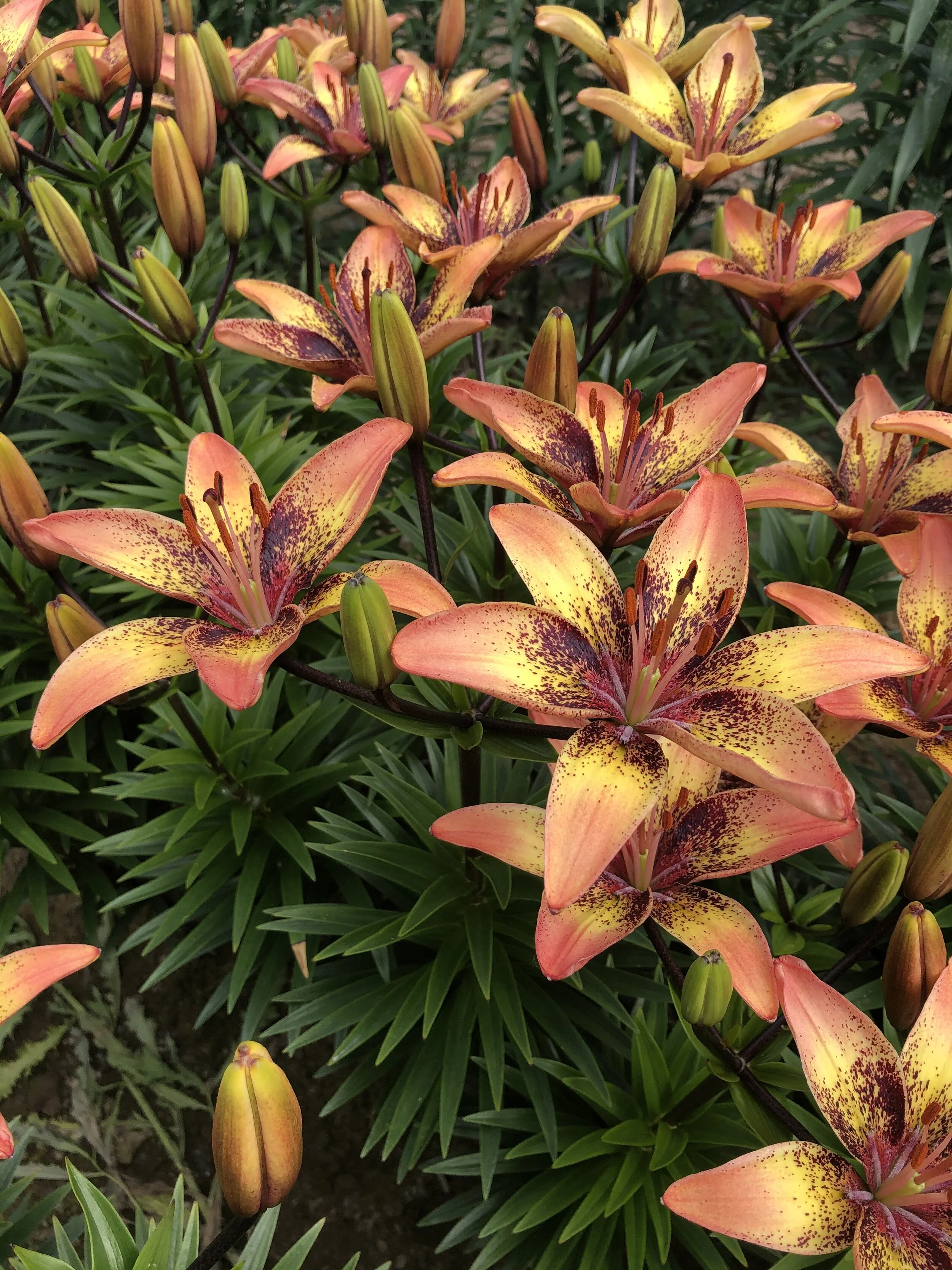 F8BE9C71-35F9-44A7-B192-8564C1BD295F