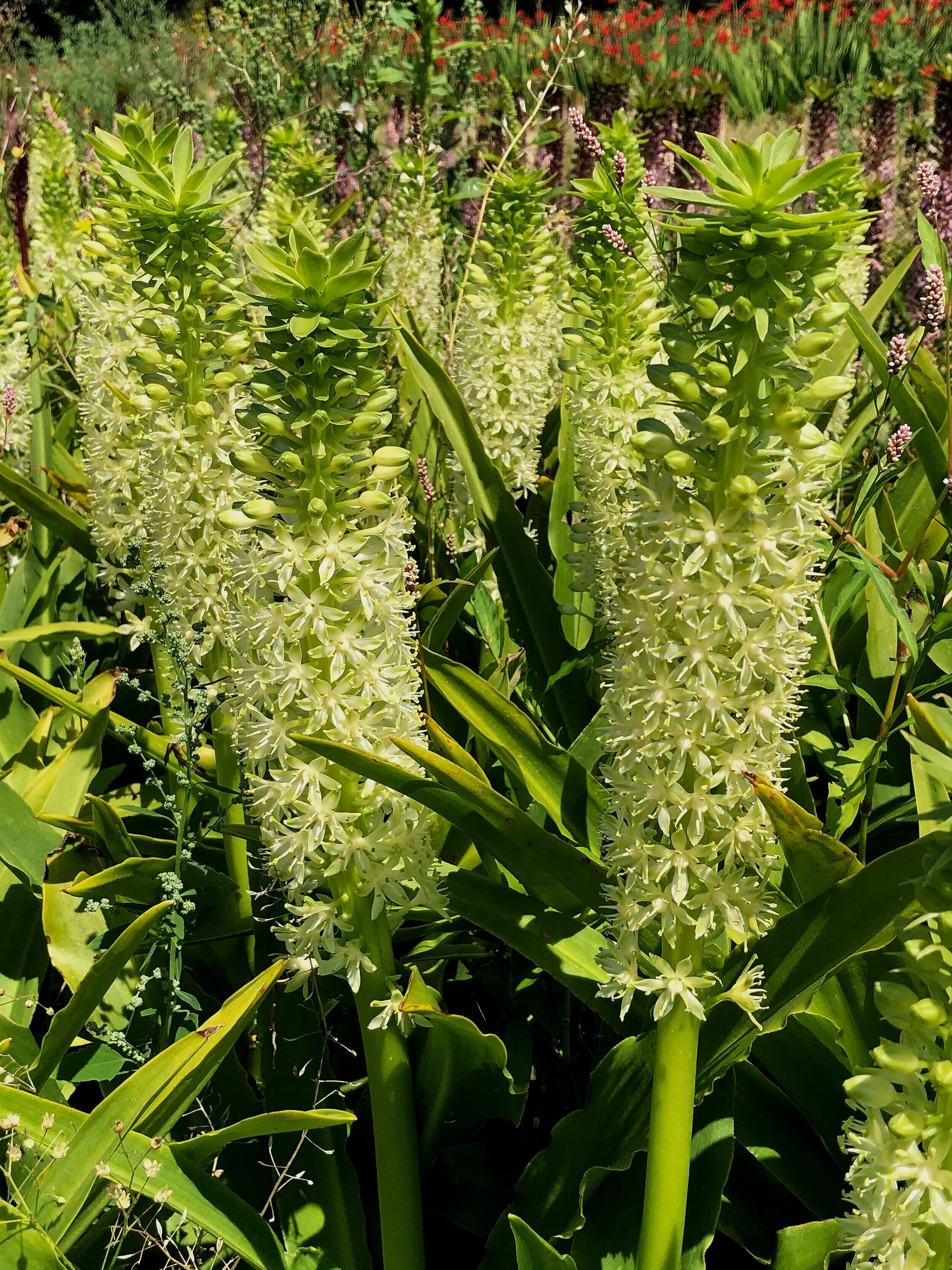 75F350C3-D1AF-43F4-B9DA-0AEFAE3CABC5