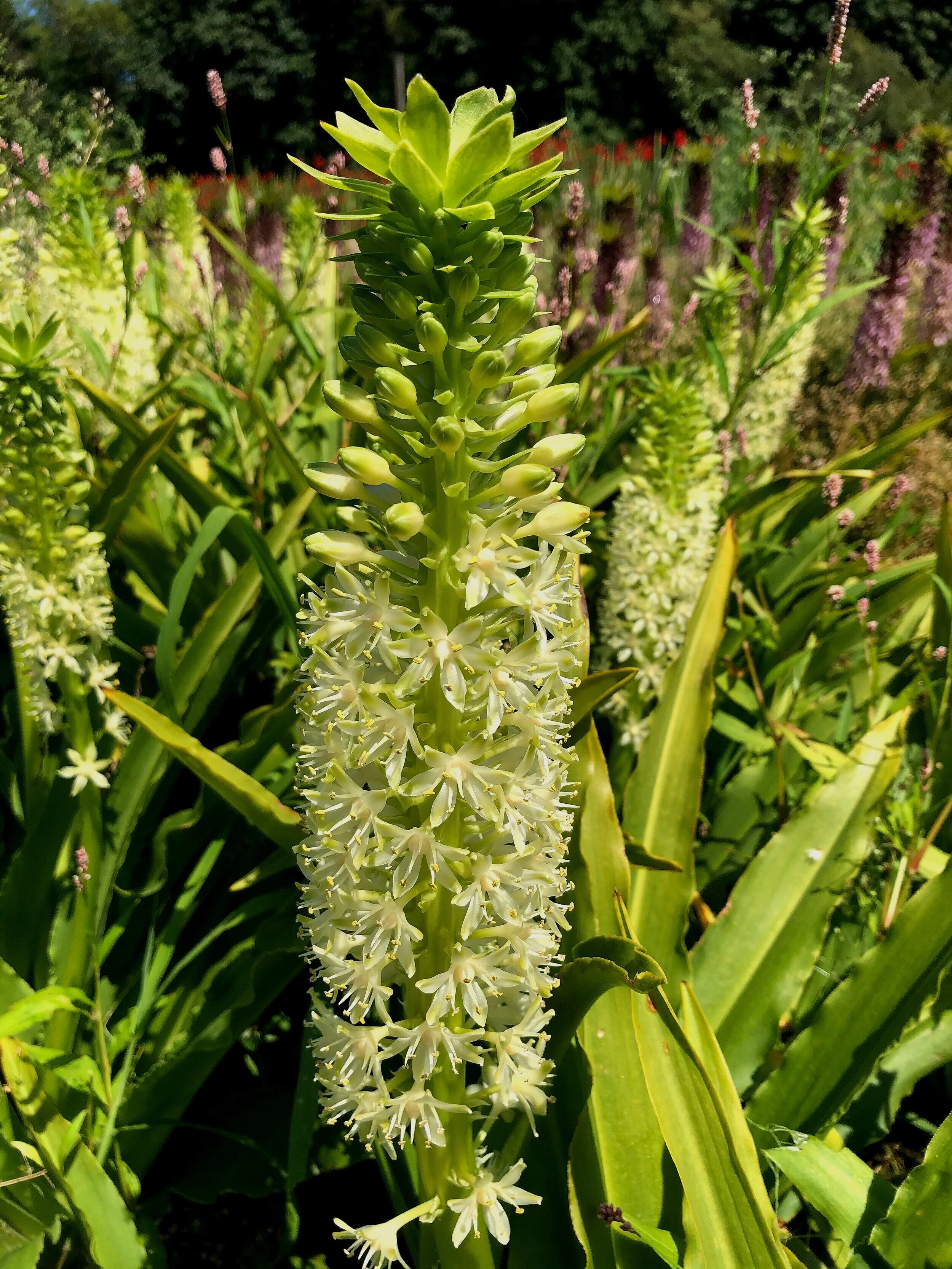 BA8D5F82-F6F0-4998-AE58-E5514A6C713C