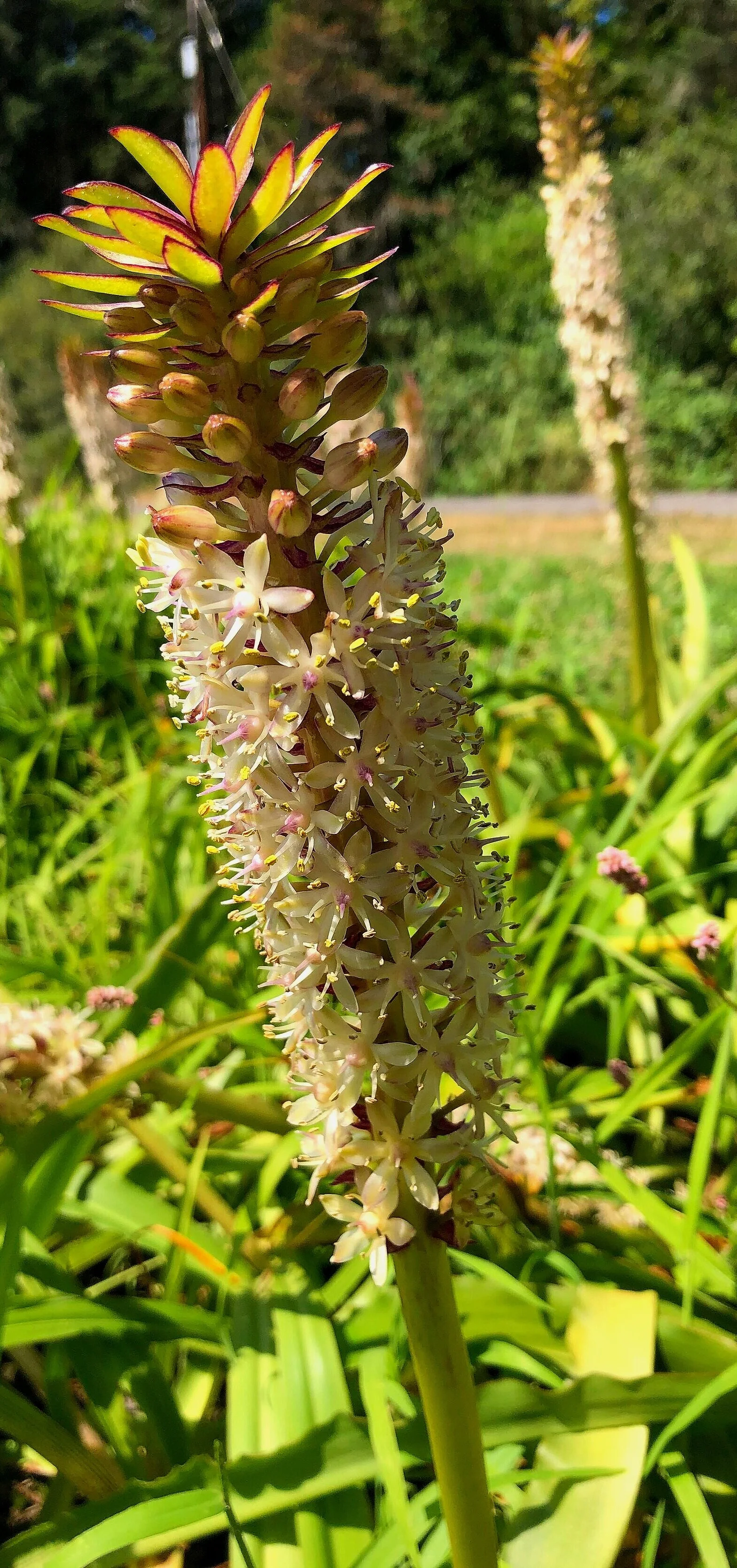 E73440C0-AD94-4DEC-8D5F-15BA3D209433