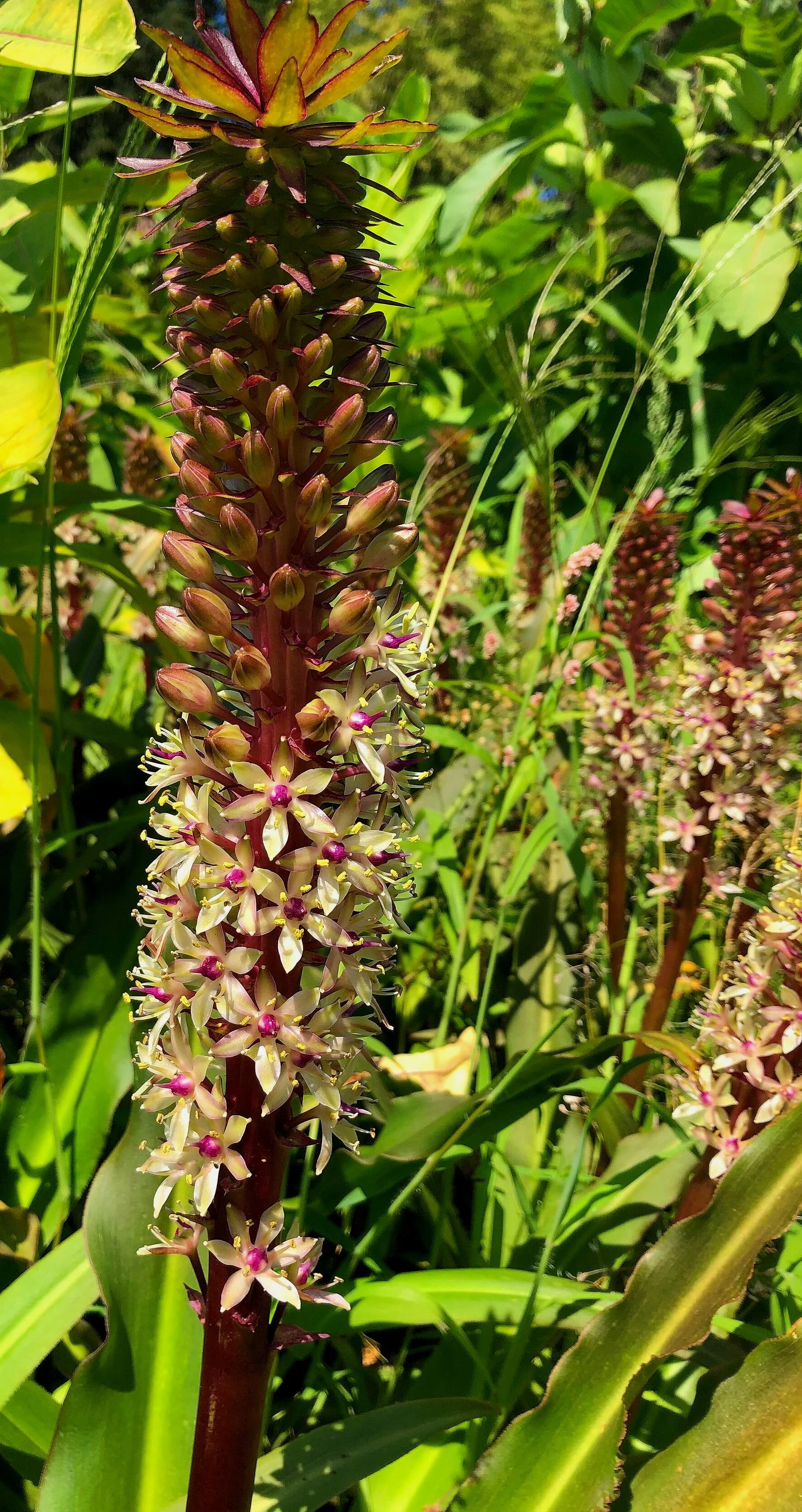 489DC5E5-DEC2-4B8D-982B-041669AF0FD1