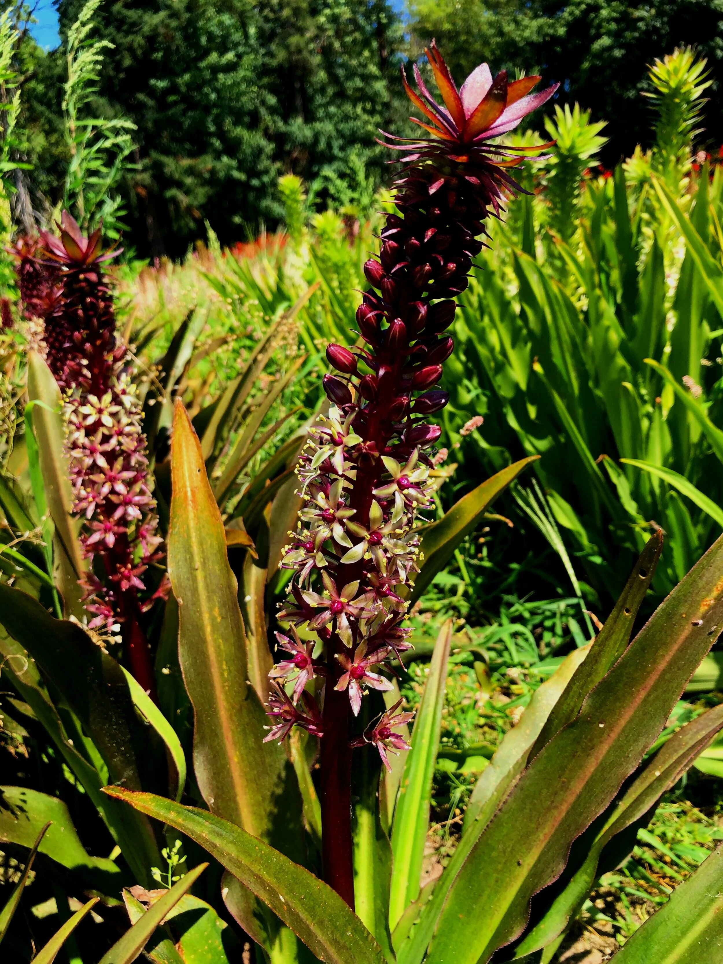 F5E9428F-4704-4591-8F74-D95128E8BF87