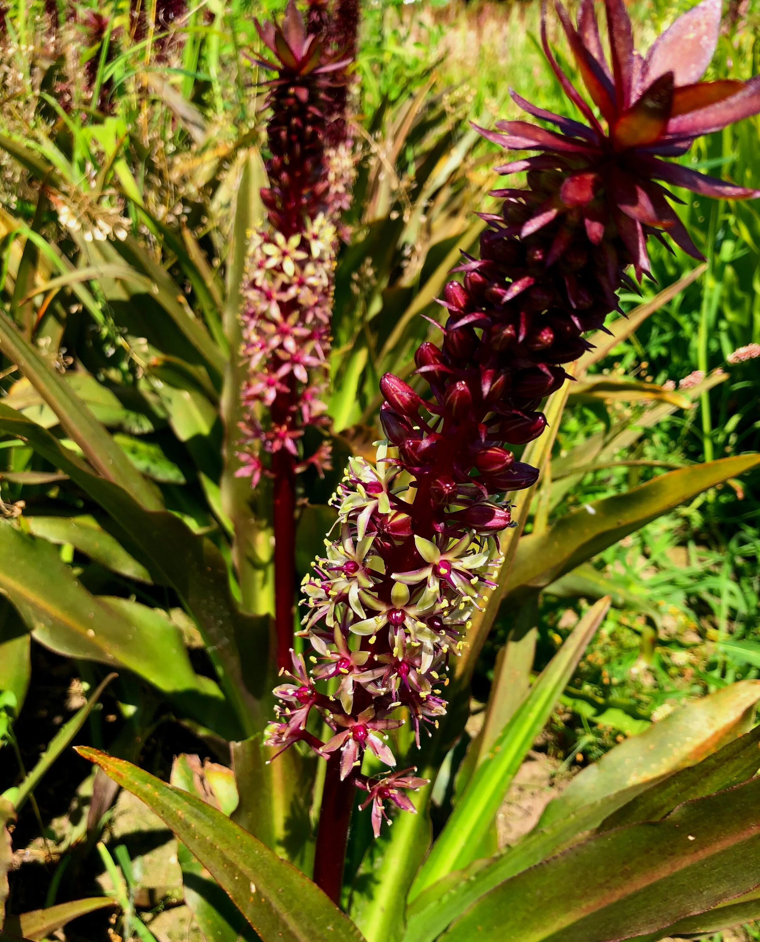 A9B9506C-168A-4A66-AD31-534C2FFFFD50