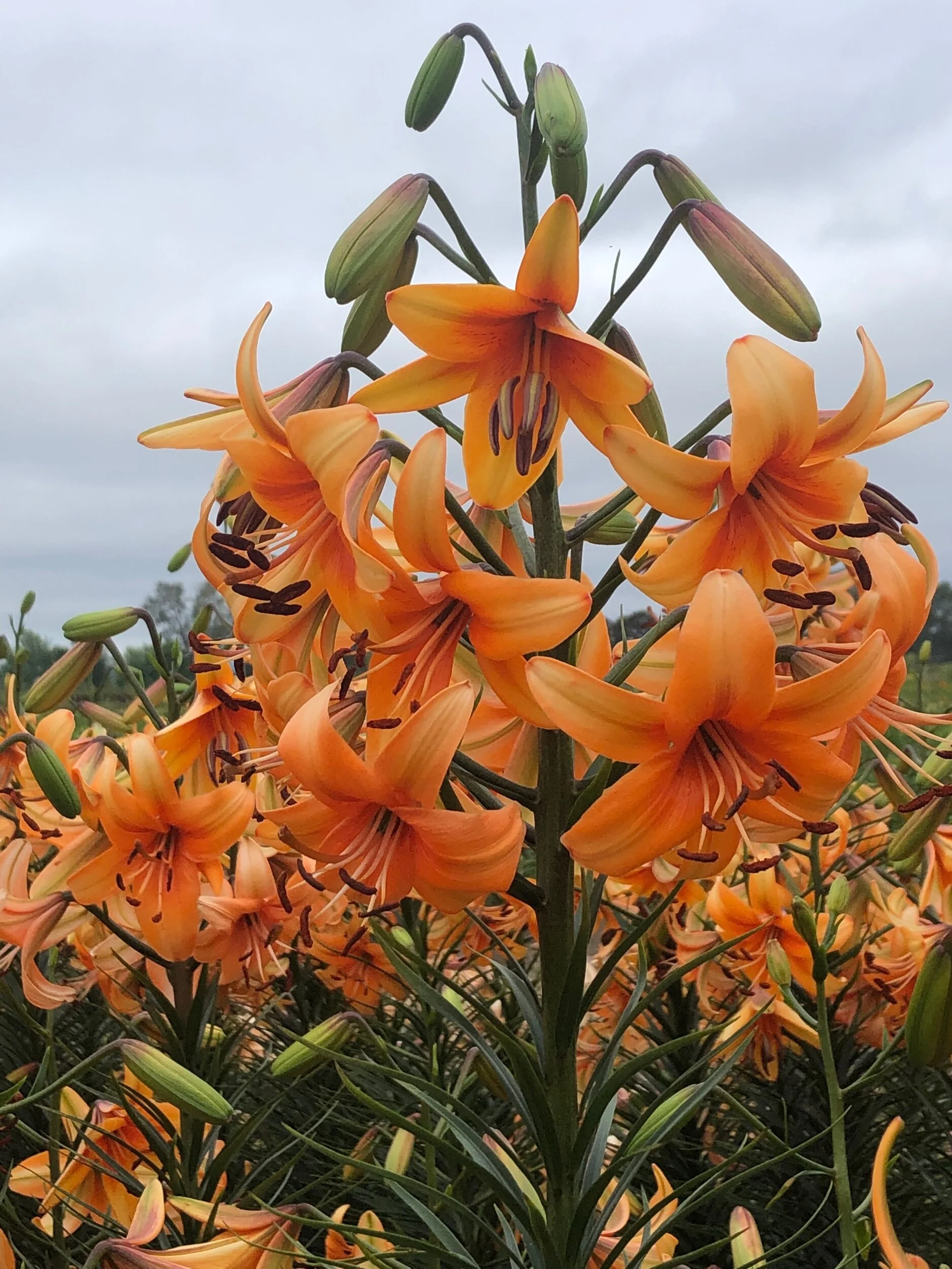 A7B99BAF-63DB-4276-A1D4-DB4DFECC0332