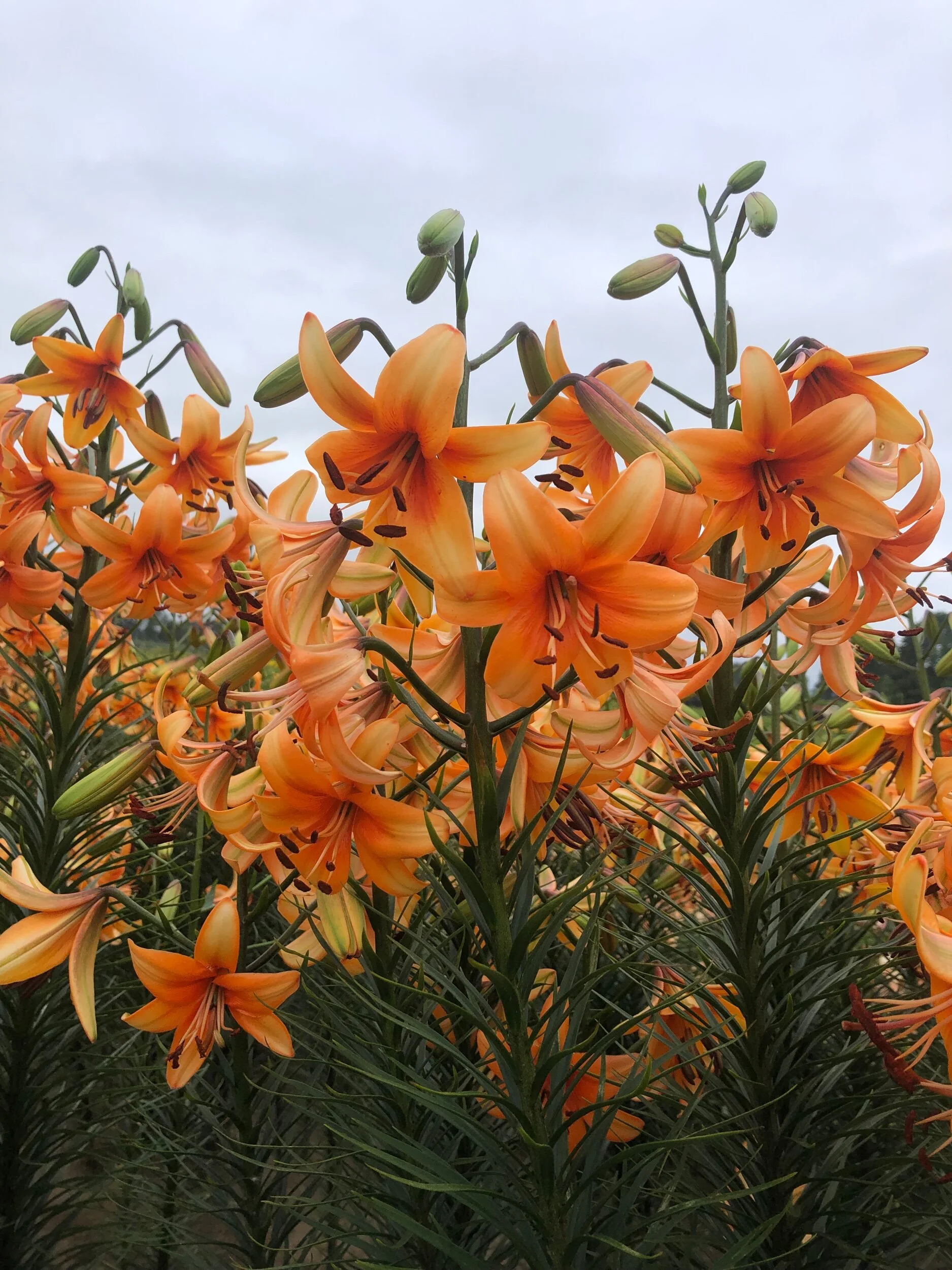 F80477C1-91B8-4F74-9EA9-C4E04832D1A5