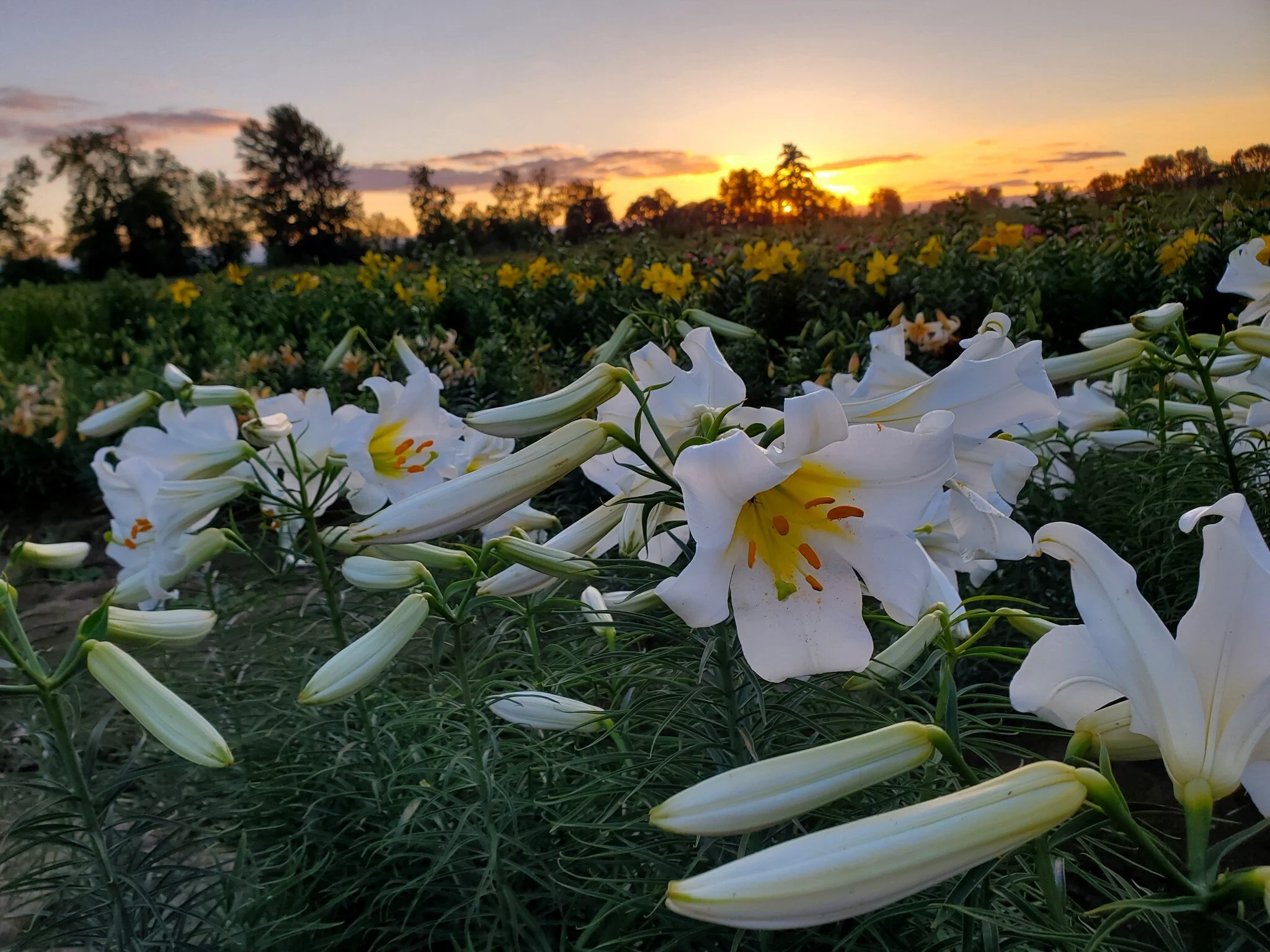 1F7B22A9-83A6-430F-938E-5CBDC6937294