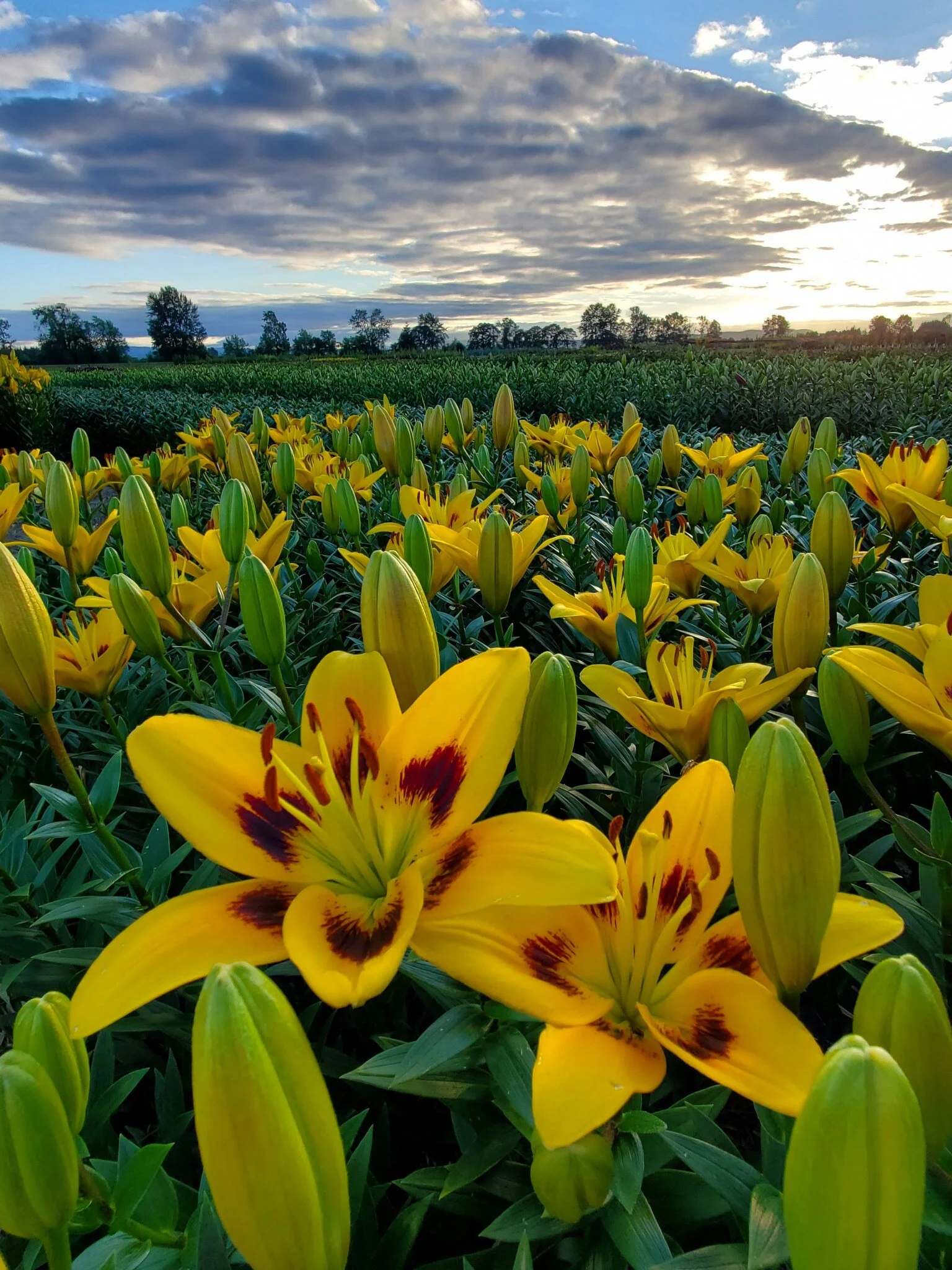 A0760F10-235D-4CF5-8FFB-504DFC9E8A4E