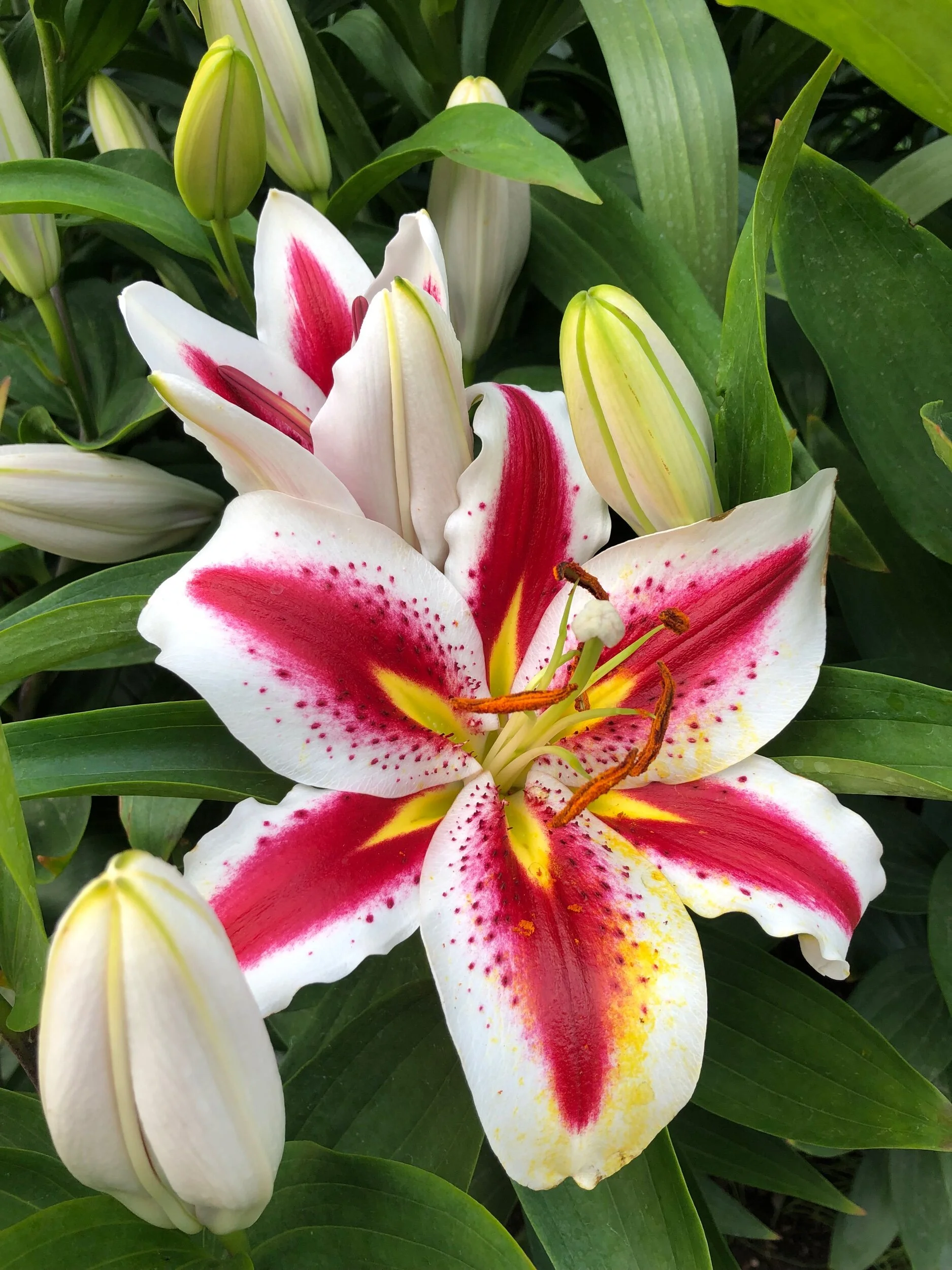 3EB97CE5-97B1-459B-B752-7B92FD8DD741