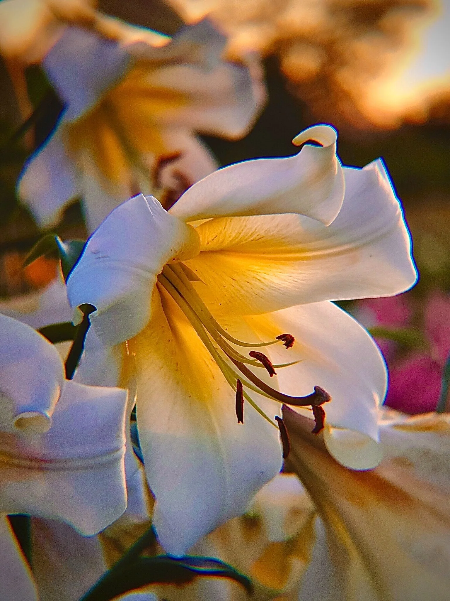 8632E9AC-4541-4D3E-8CAE-93FF013B9670