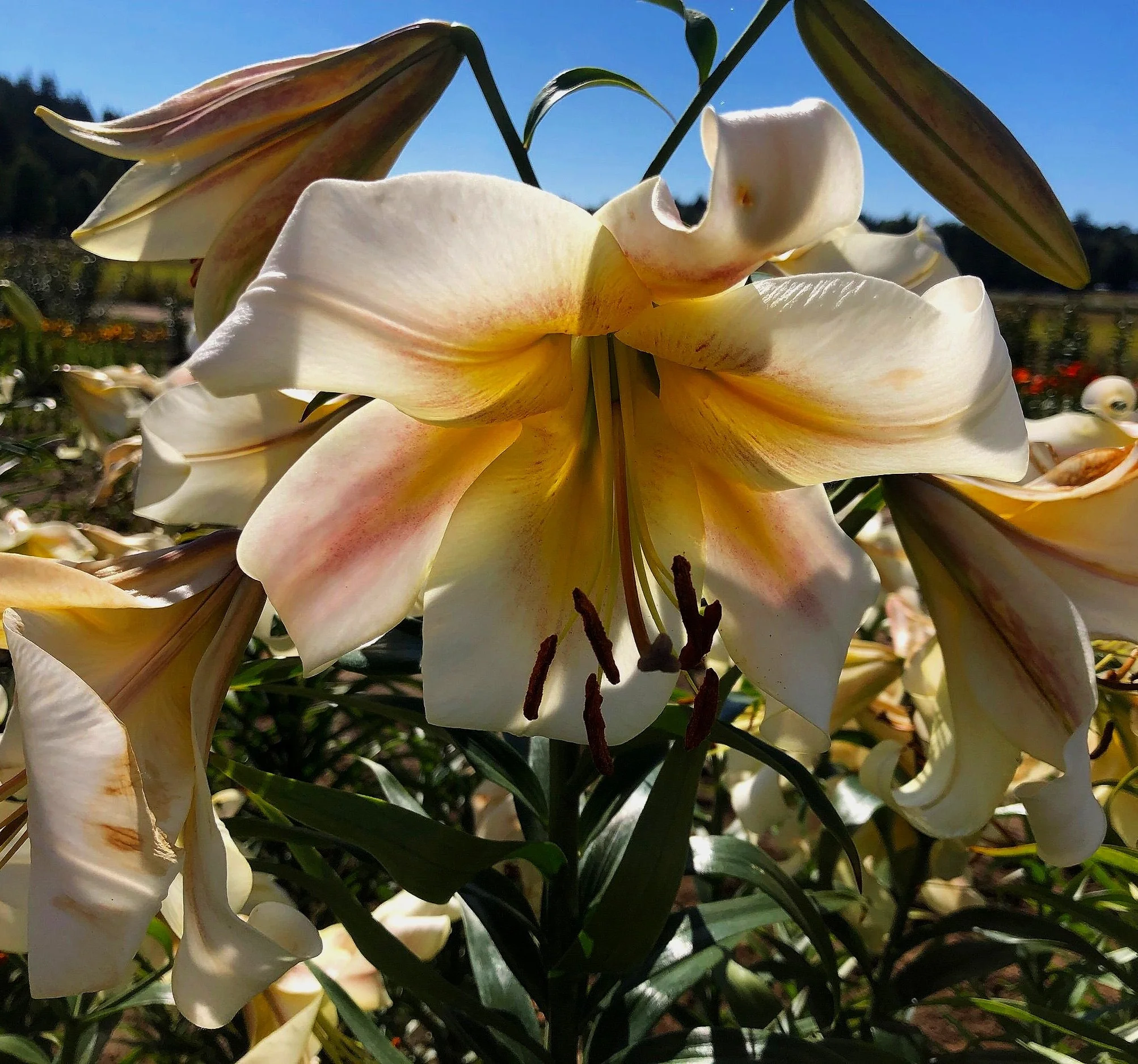 11BB8AB0-81D3-4D43-8577-FB94720E30B7