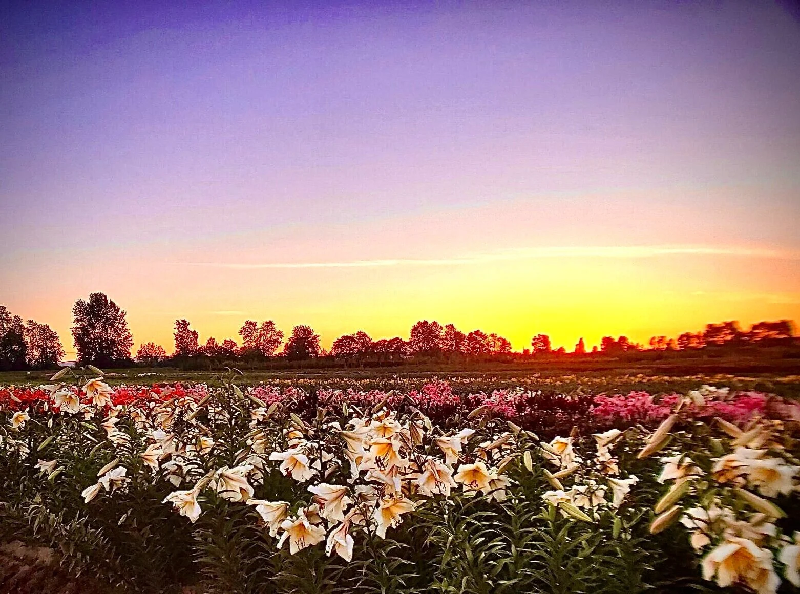 866D9347-6DBC-49A8-8C78-ACC5C8E0815D