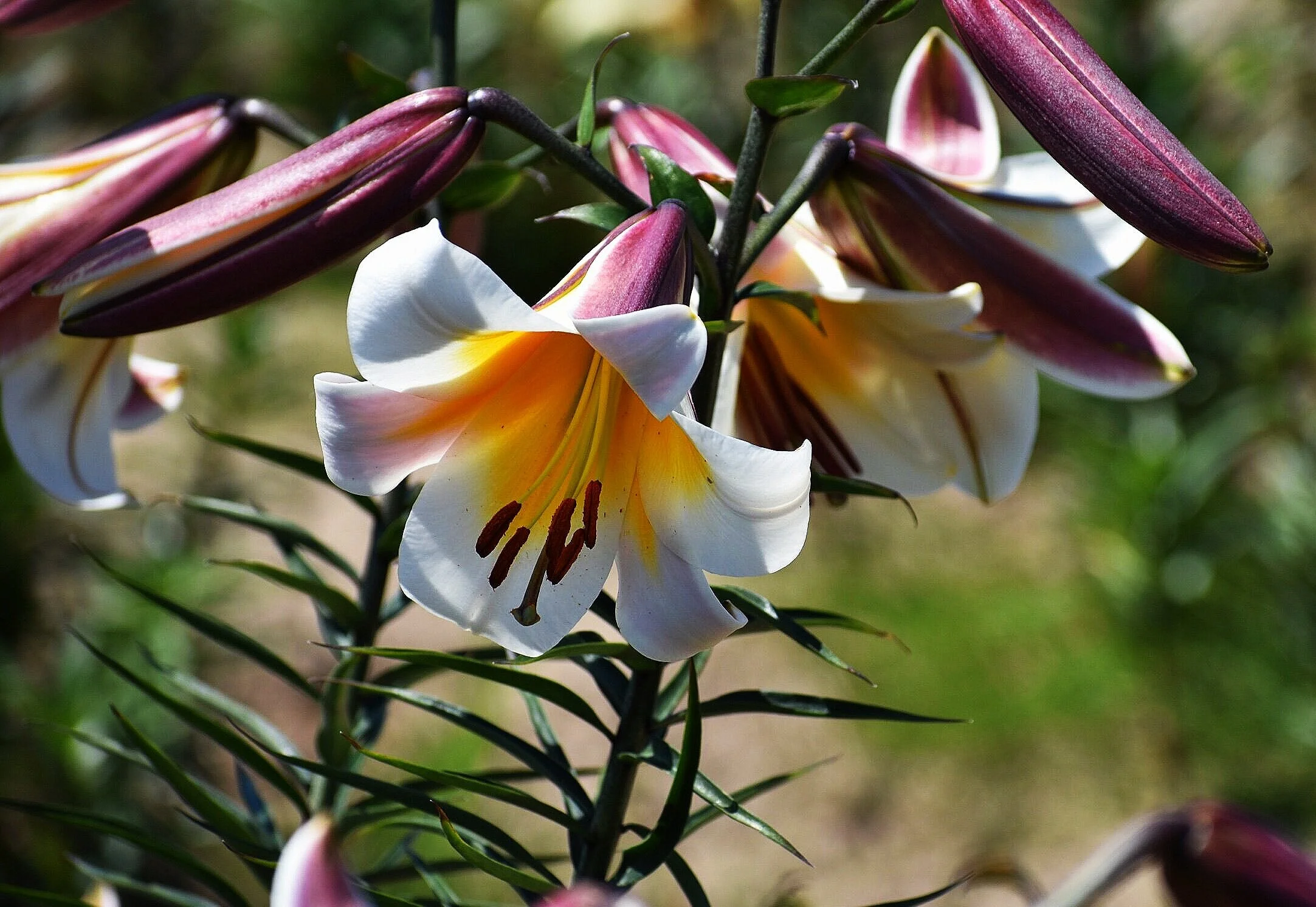 29741169-DC7A-4AAE-B6BE-319CC1238E38