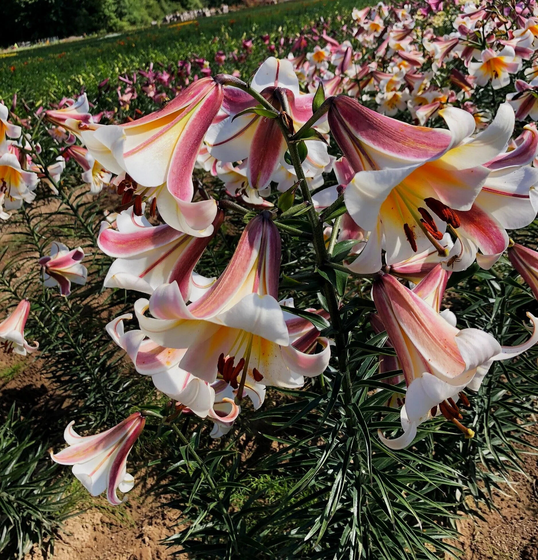 1040953F-E362-4DD8-A8E1-2400B572C72F