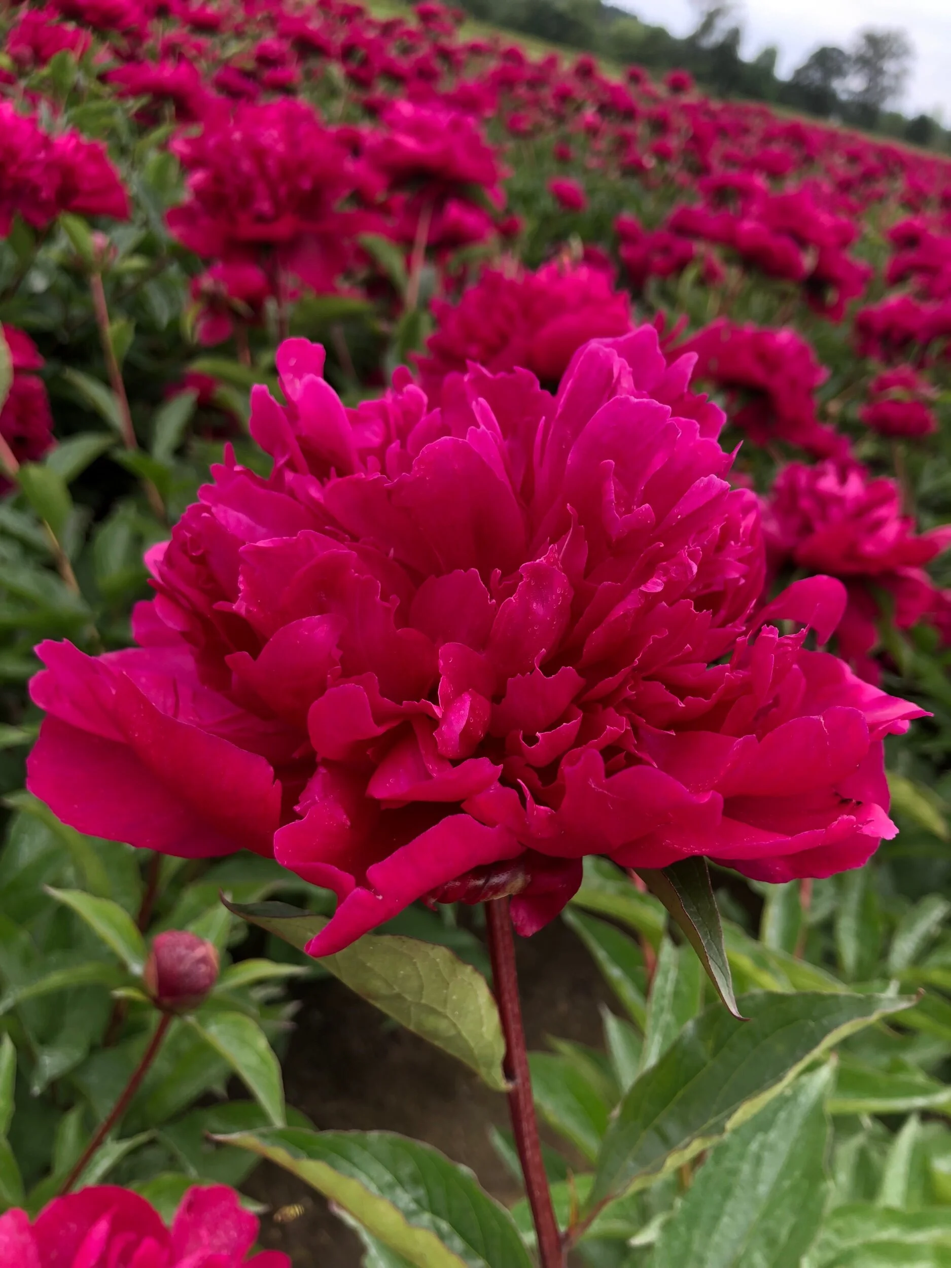 70EE26E9-BF07-42EA-B490-E553C97D47CB