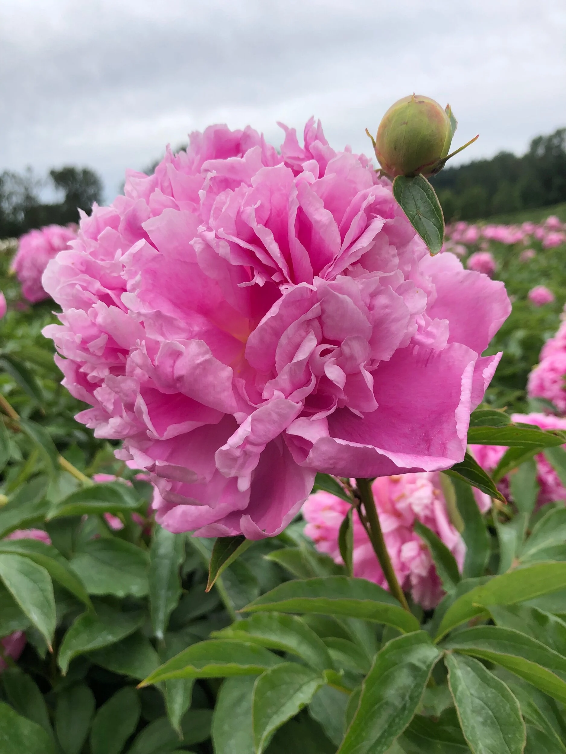 4B6E554E-FCDD-4AA6-8784-B743C49937B1