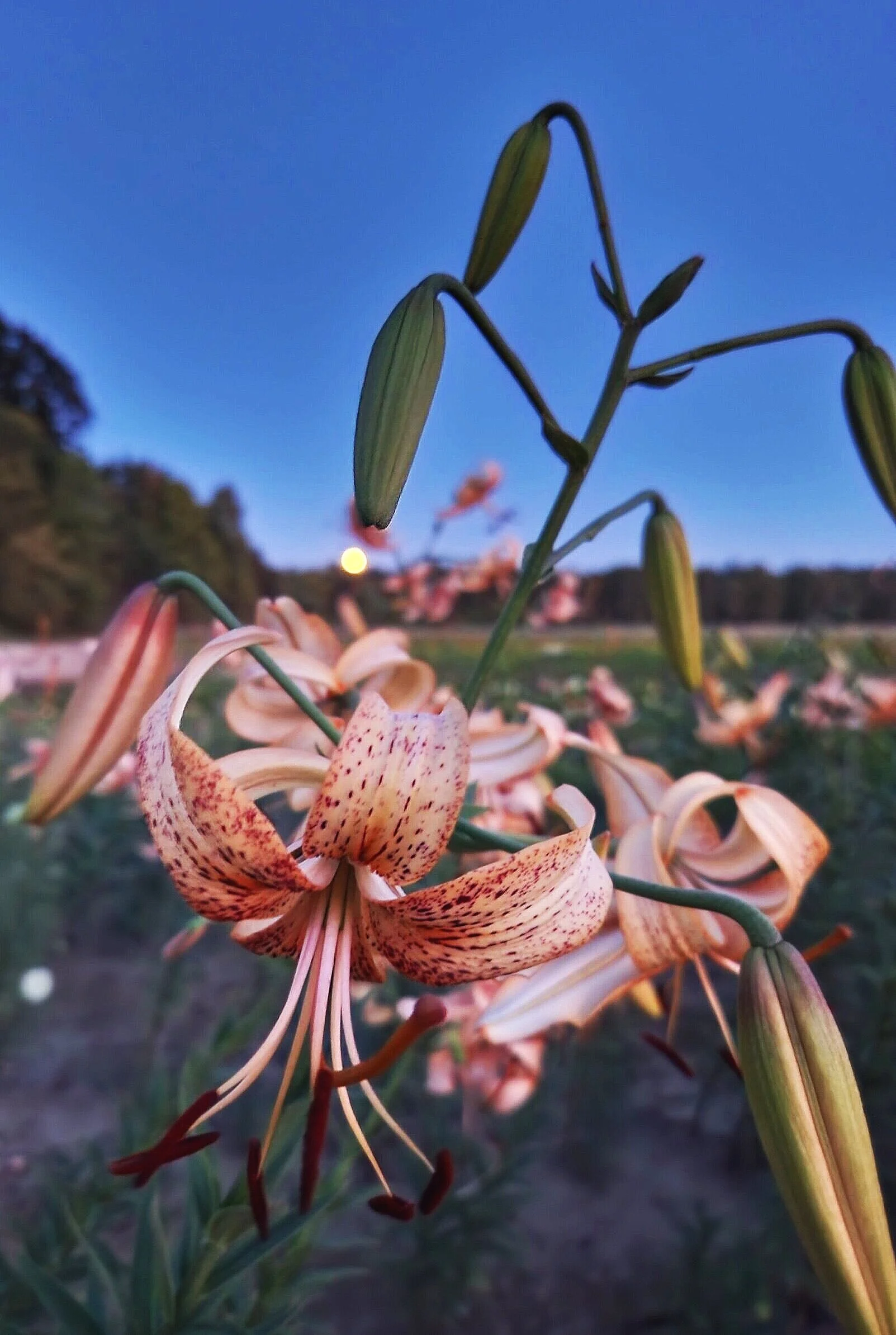 E4FF931D-0675-423D-B699-B1013FB827C5