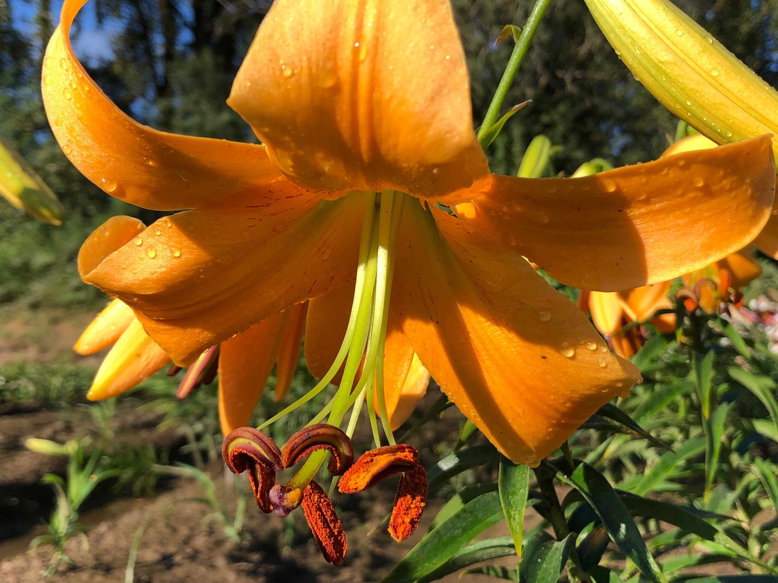 1CA36A3A-C2E4-4E16-AACC-F79E8E4B09AD