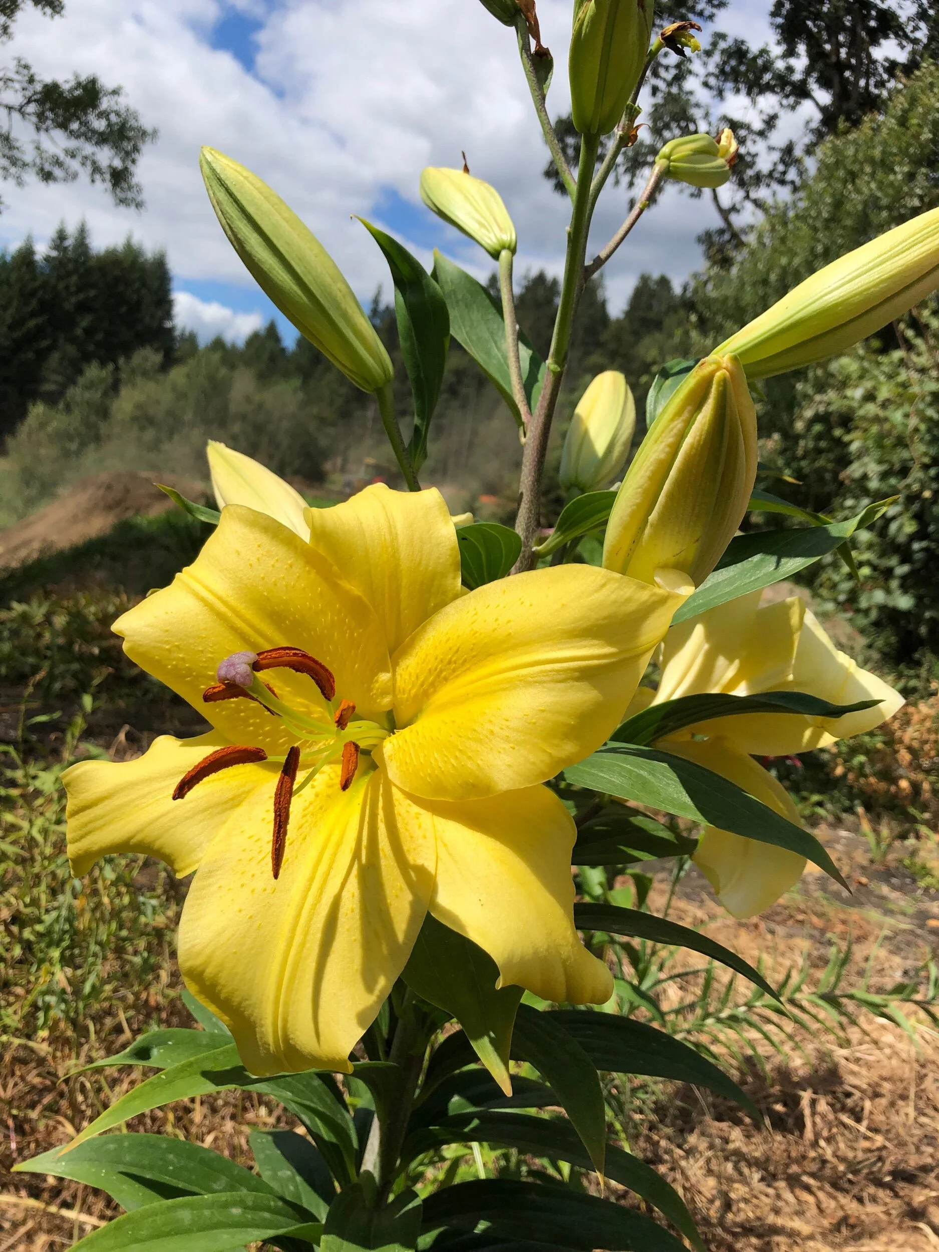 A77831AA-6F7E-47C8-B3E6-C0125B89B050