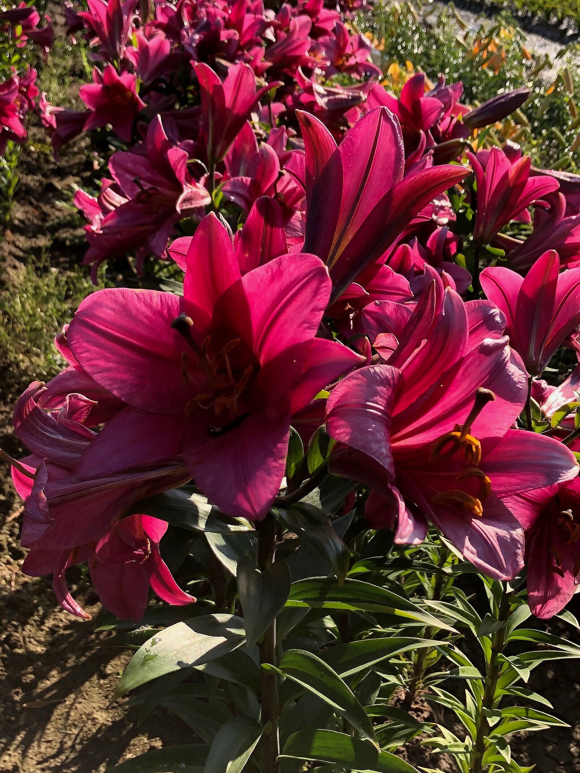 1E8EEC5C-9A0B-40D2-BA58-C6AADD433B85