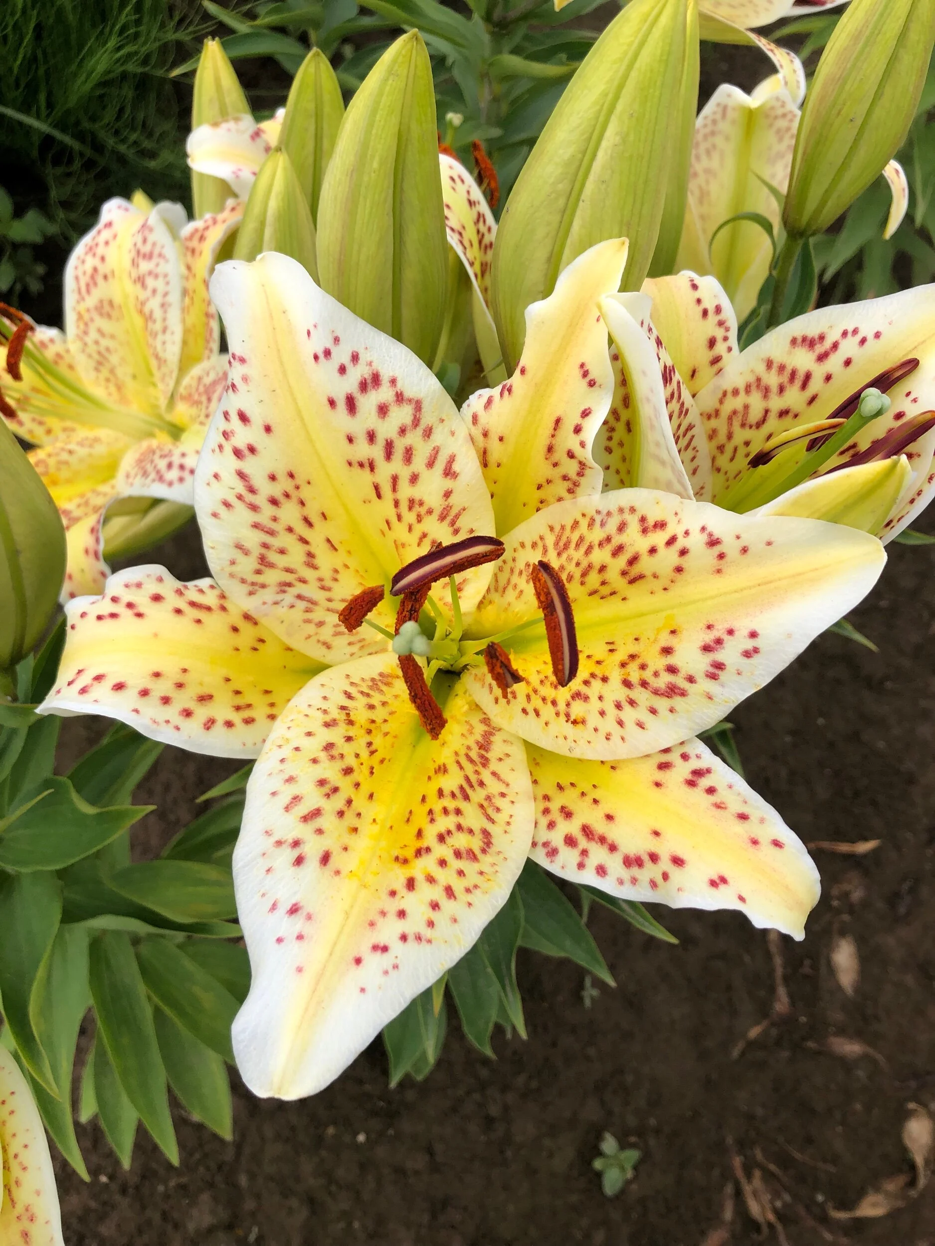 F73C574A-DE5F-4A71-9473-CBBE061CDE54