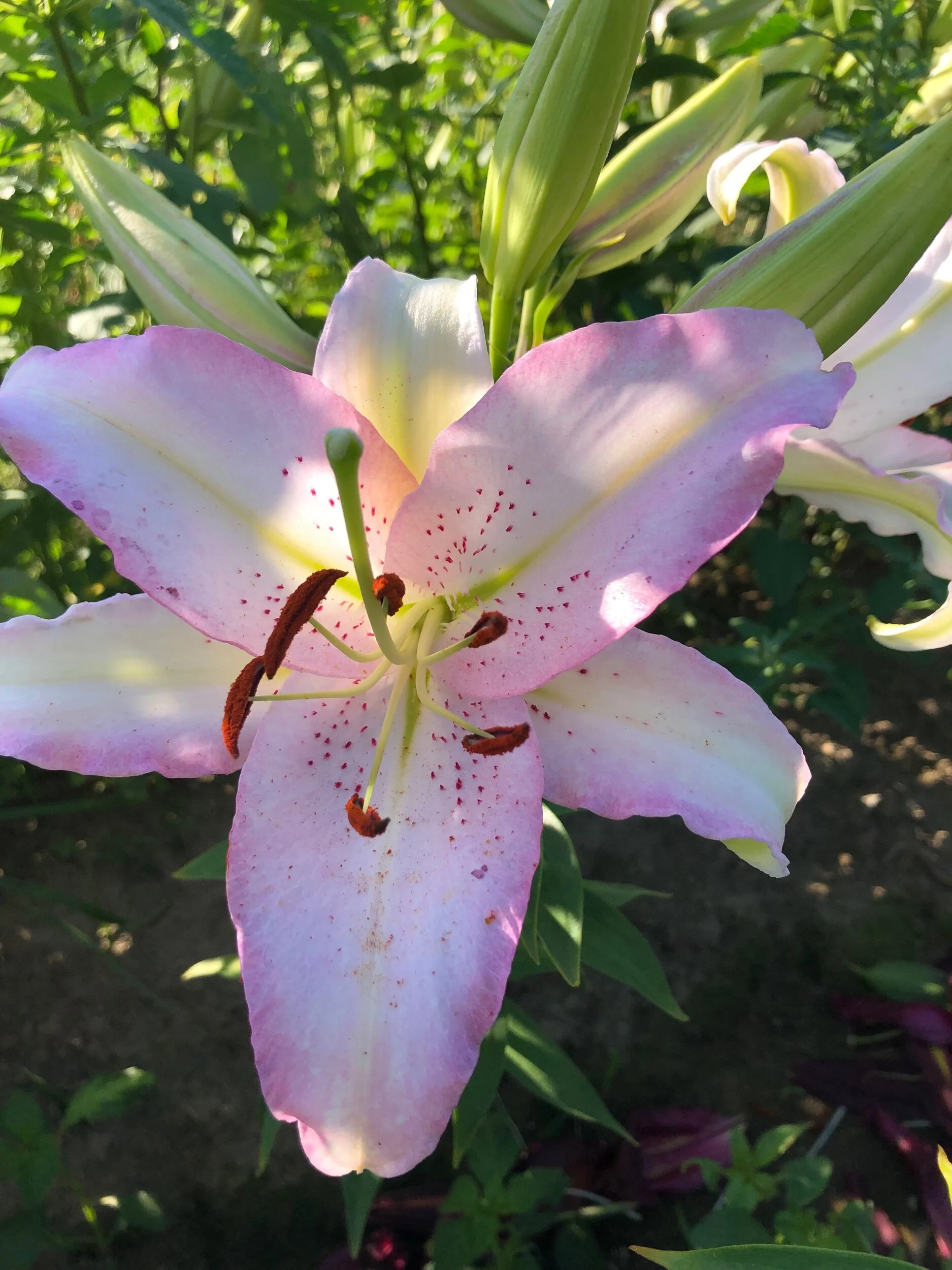 4937518E-FAFA-4EC3-8977-1036AC68E2BE