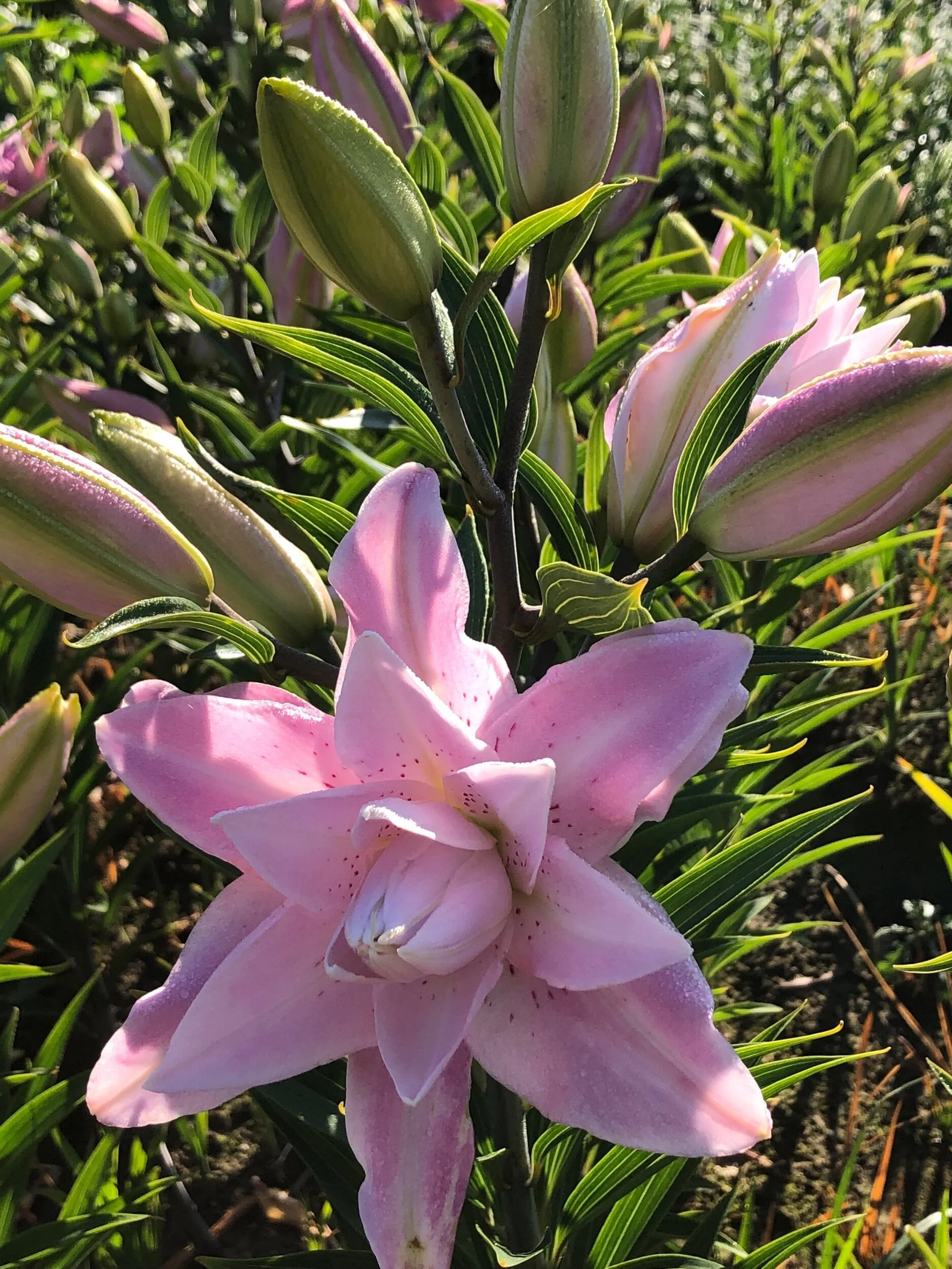 EB4E5C57-17F2-4A1D-89E7-67ABBD7A13DB