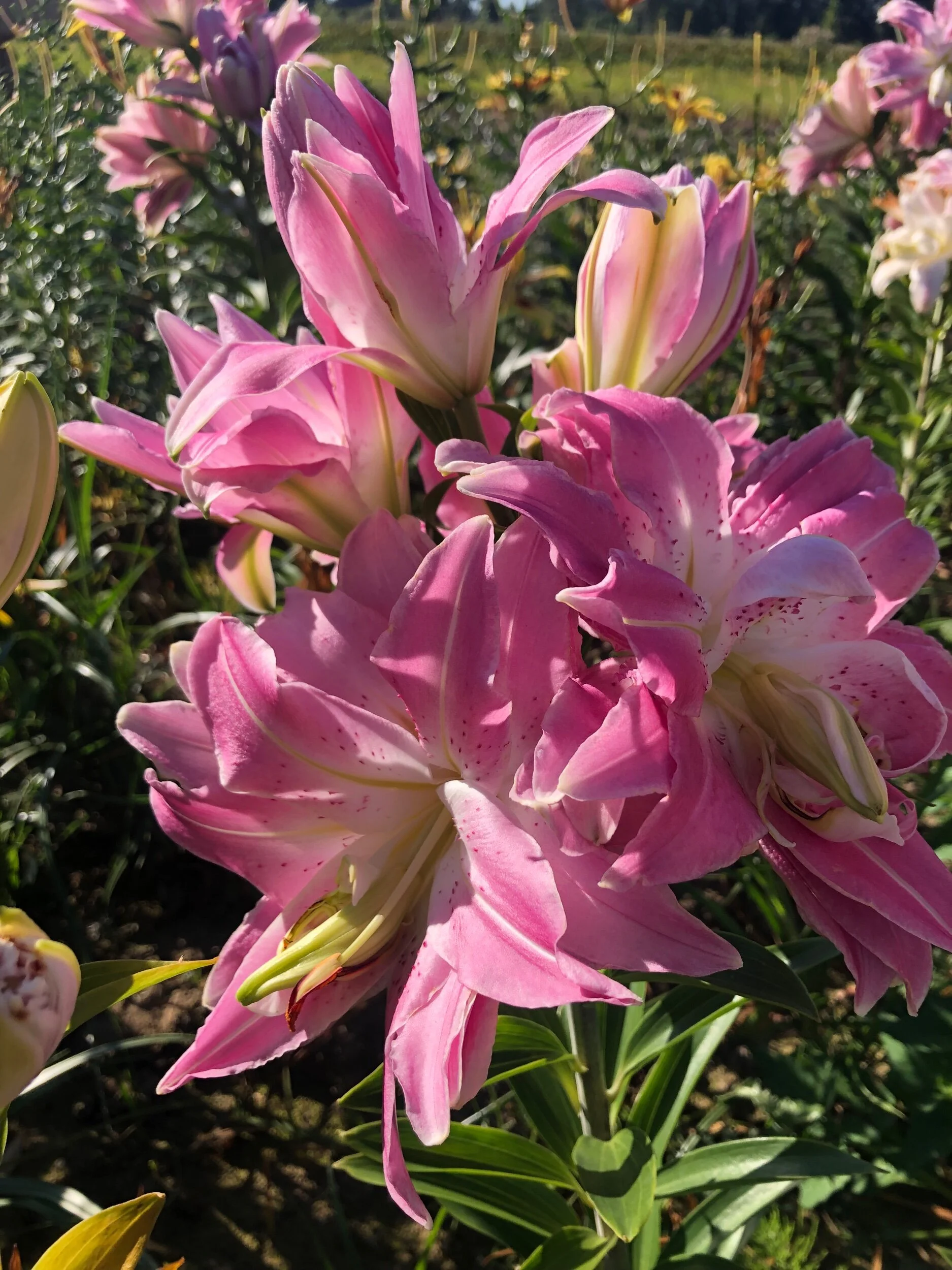 B74E9D82-2FFA-40A9-BB9B-0980ACC1B4D5