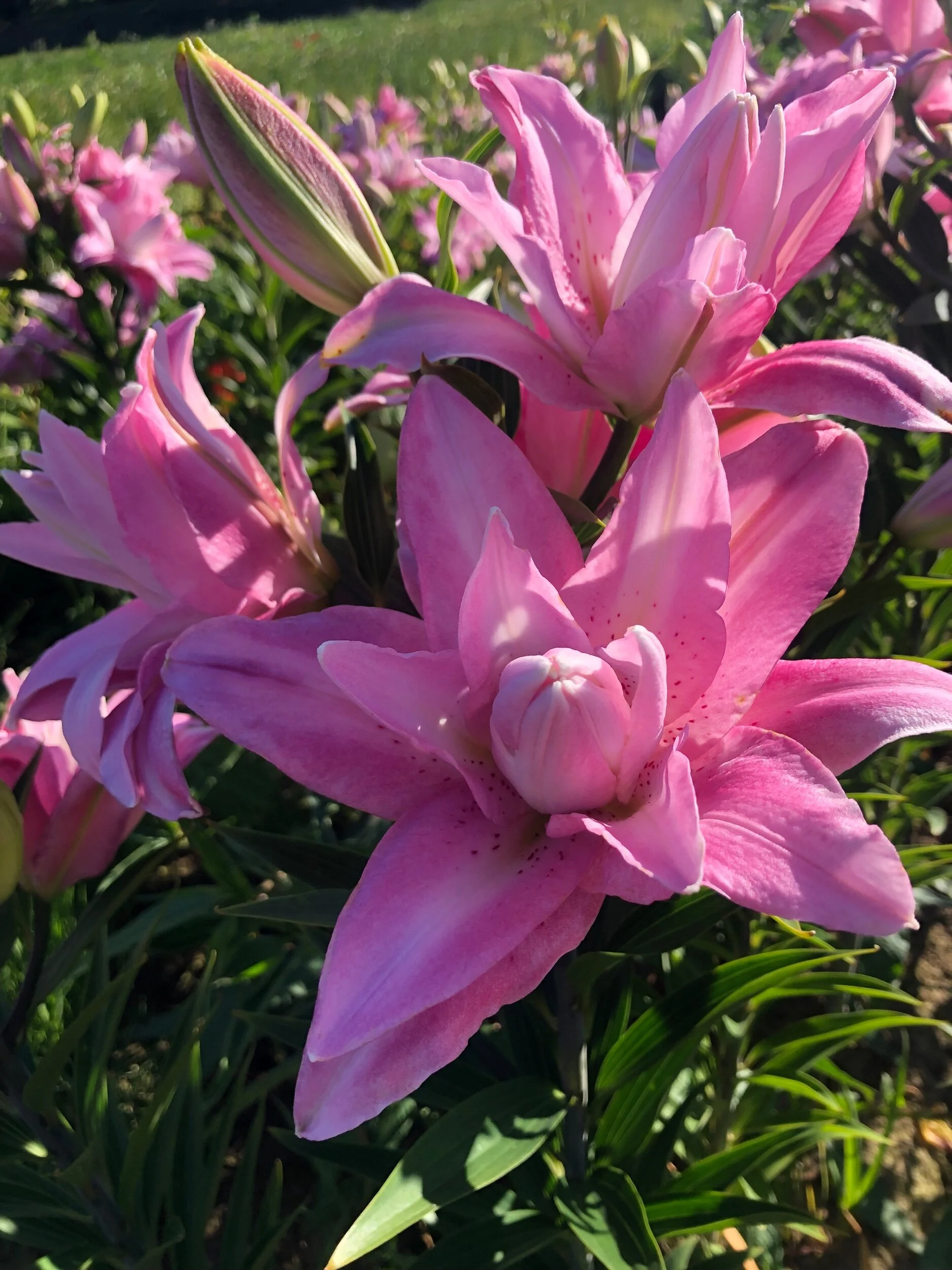 4C0022F2-EF32-4CA3-B121-5FCD90B762B8