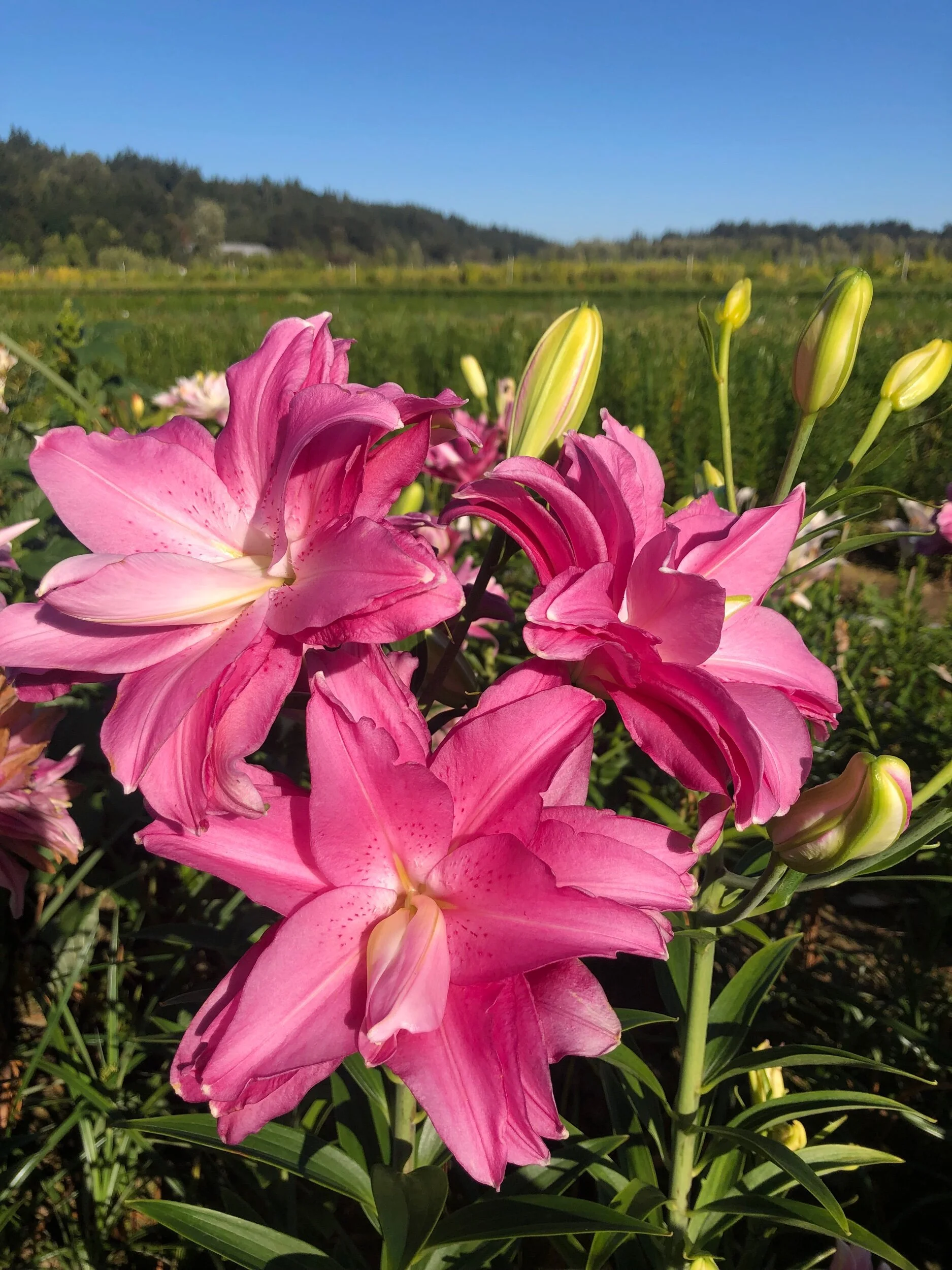 EACDC919-0AA9-4836-B75A-9E29E2C6D1B7