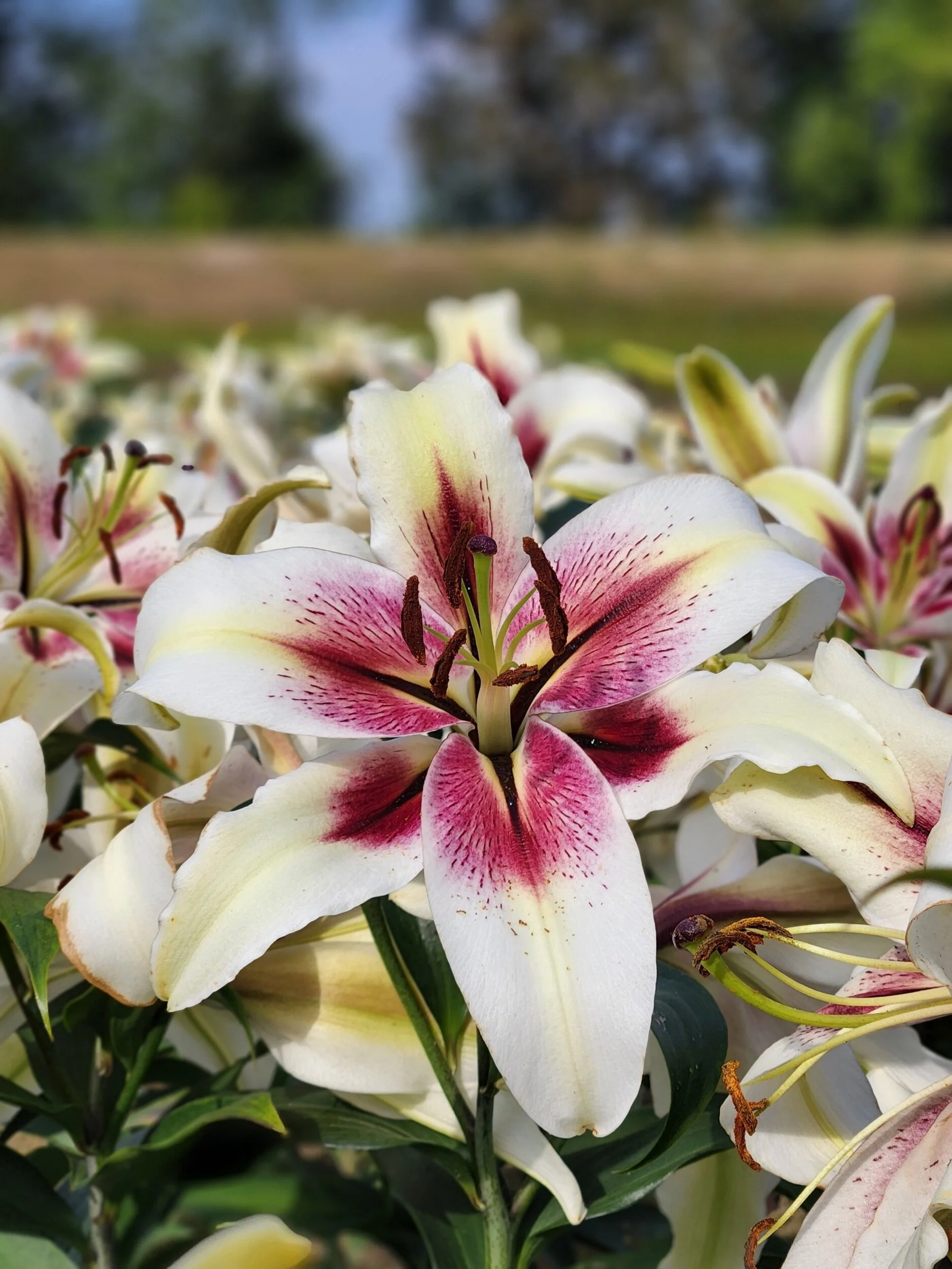 7EC9EE68-F944-45A4-B172-90C0FC03506B