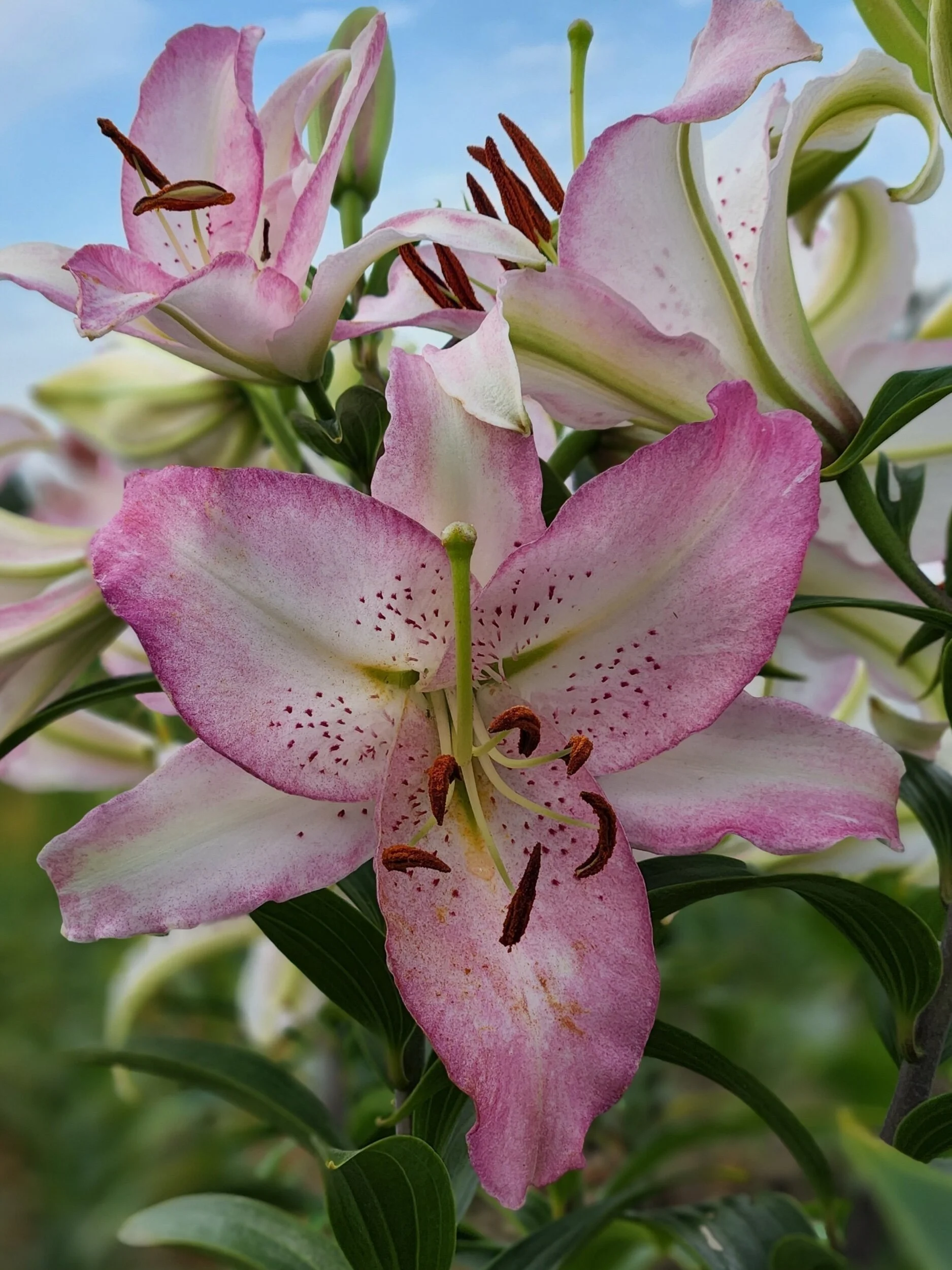 B1472306-A447-45A5-8923-09071EBAD92A