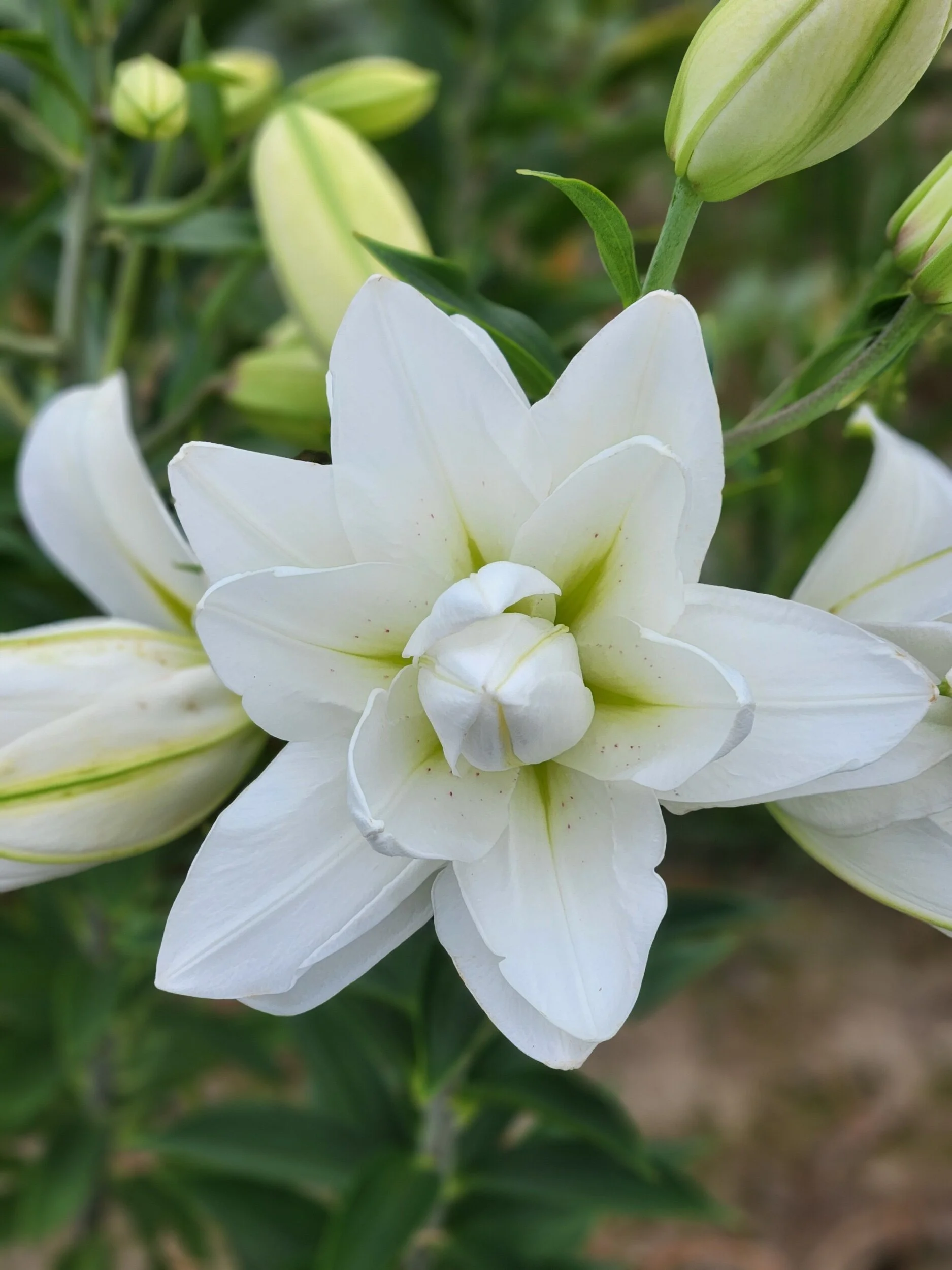 05B4ADB6-5380-45B5-A1E4-B37961DB1D3E