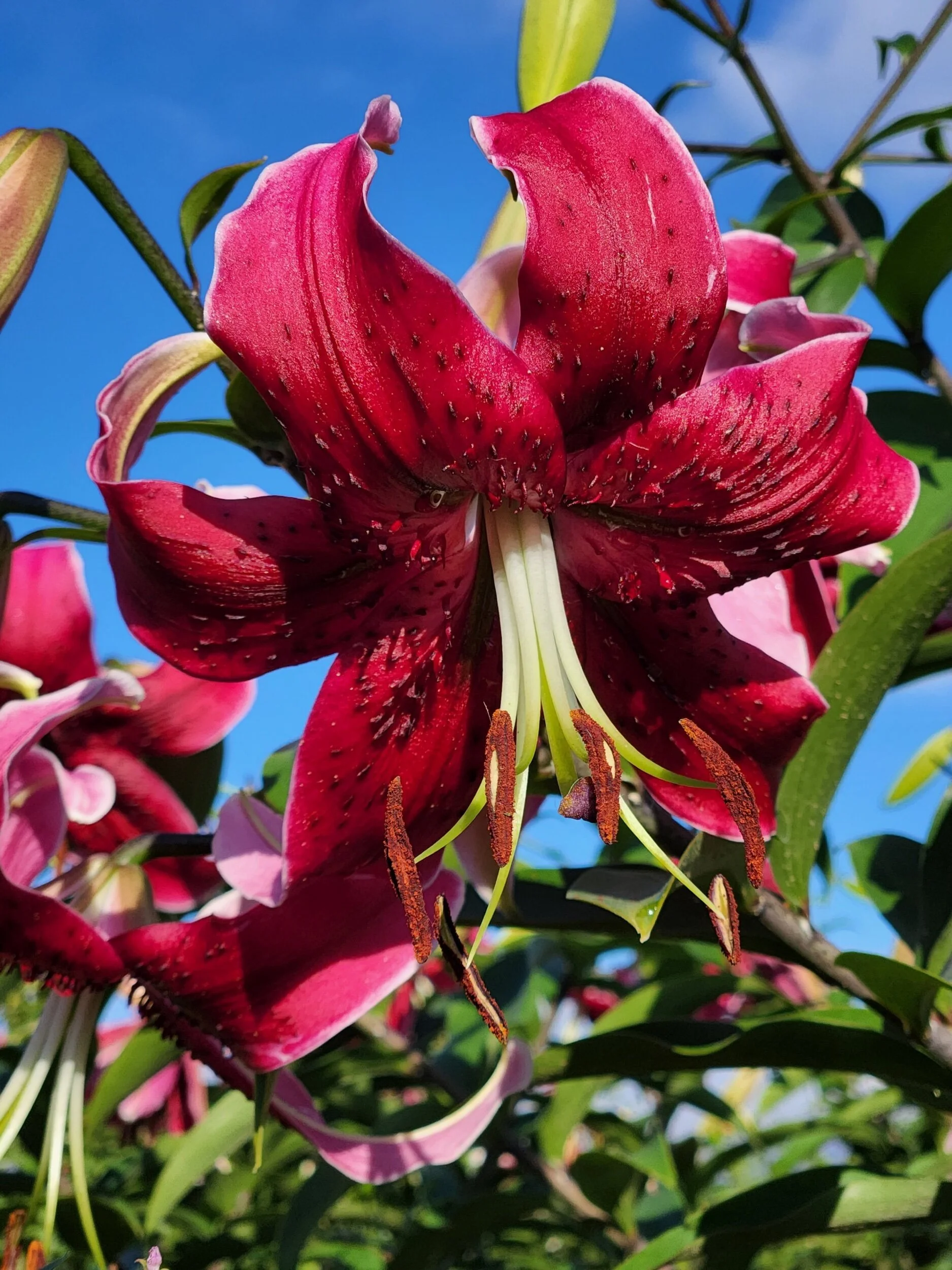 BBABDC5F-B423-46AE-8355-337311458257