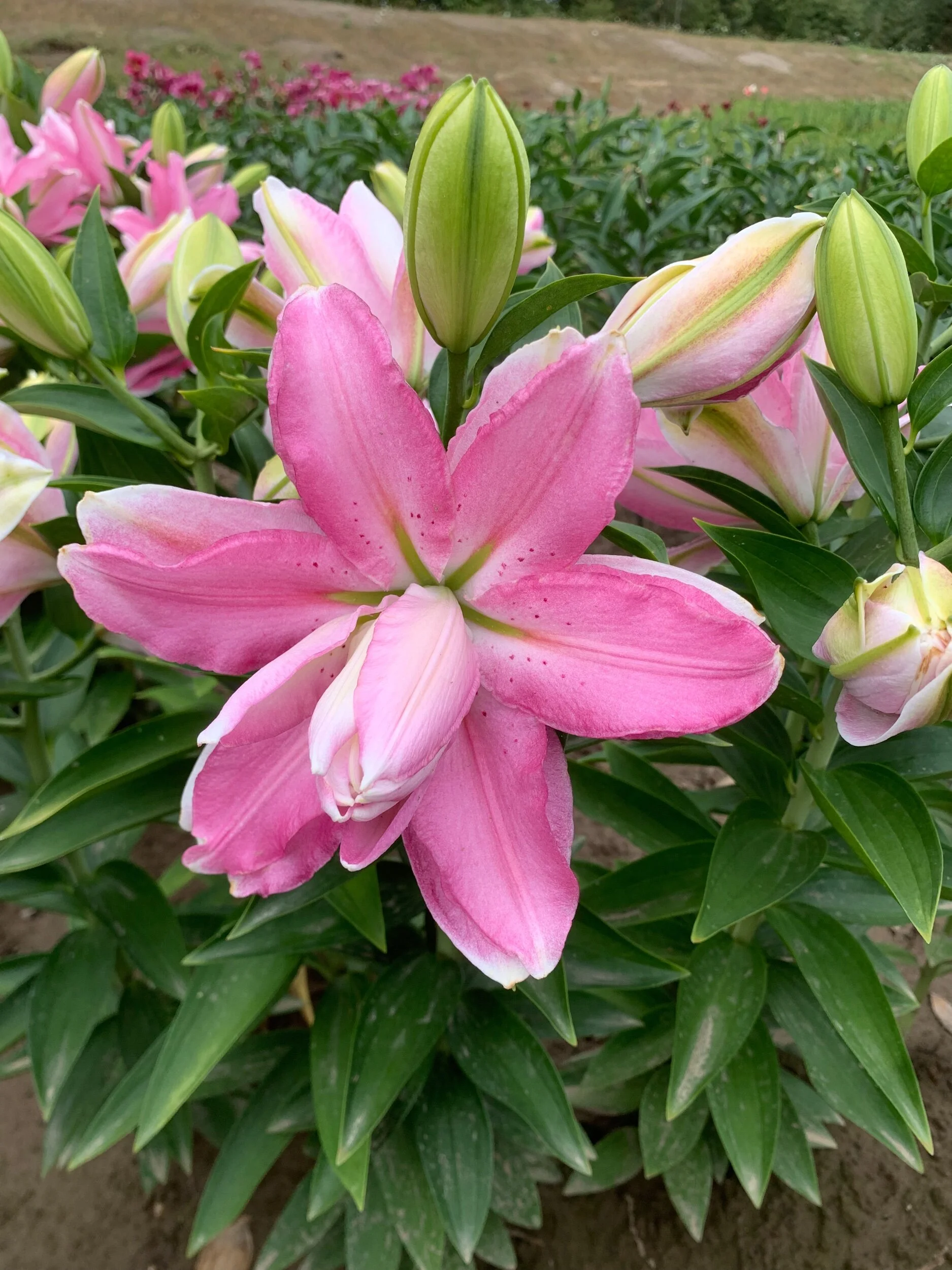 5878AE10-0EBF-405E-A922-E65BB871747F