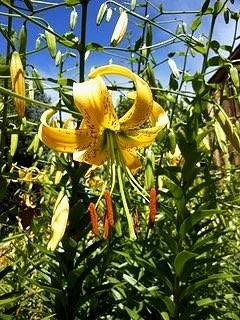 DSCN1386.jpg