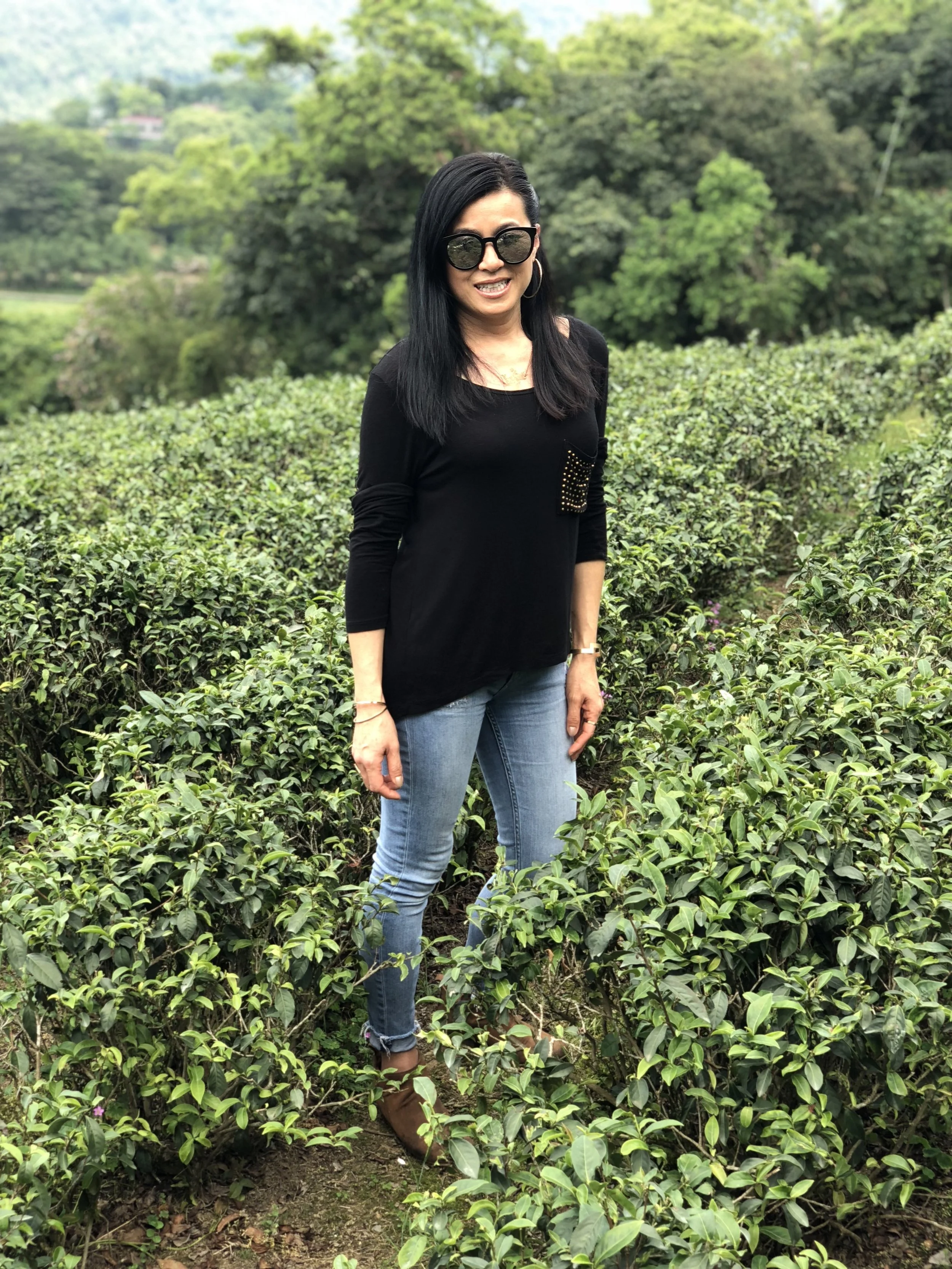 TeaSearch in Taiwan April 2018