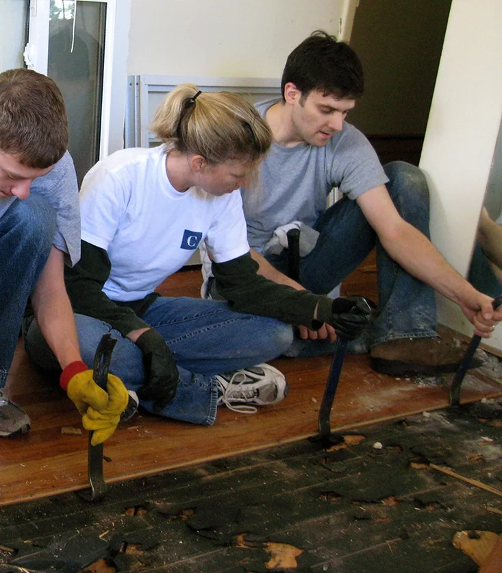 worker bees.jpg