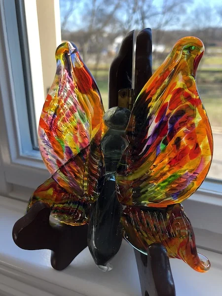 IMG_0205.jpeg butterflyr.jpeg