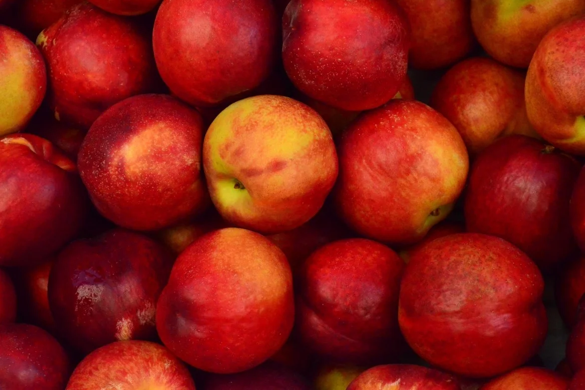 Stock Up Bloomingdale Farmers Market