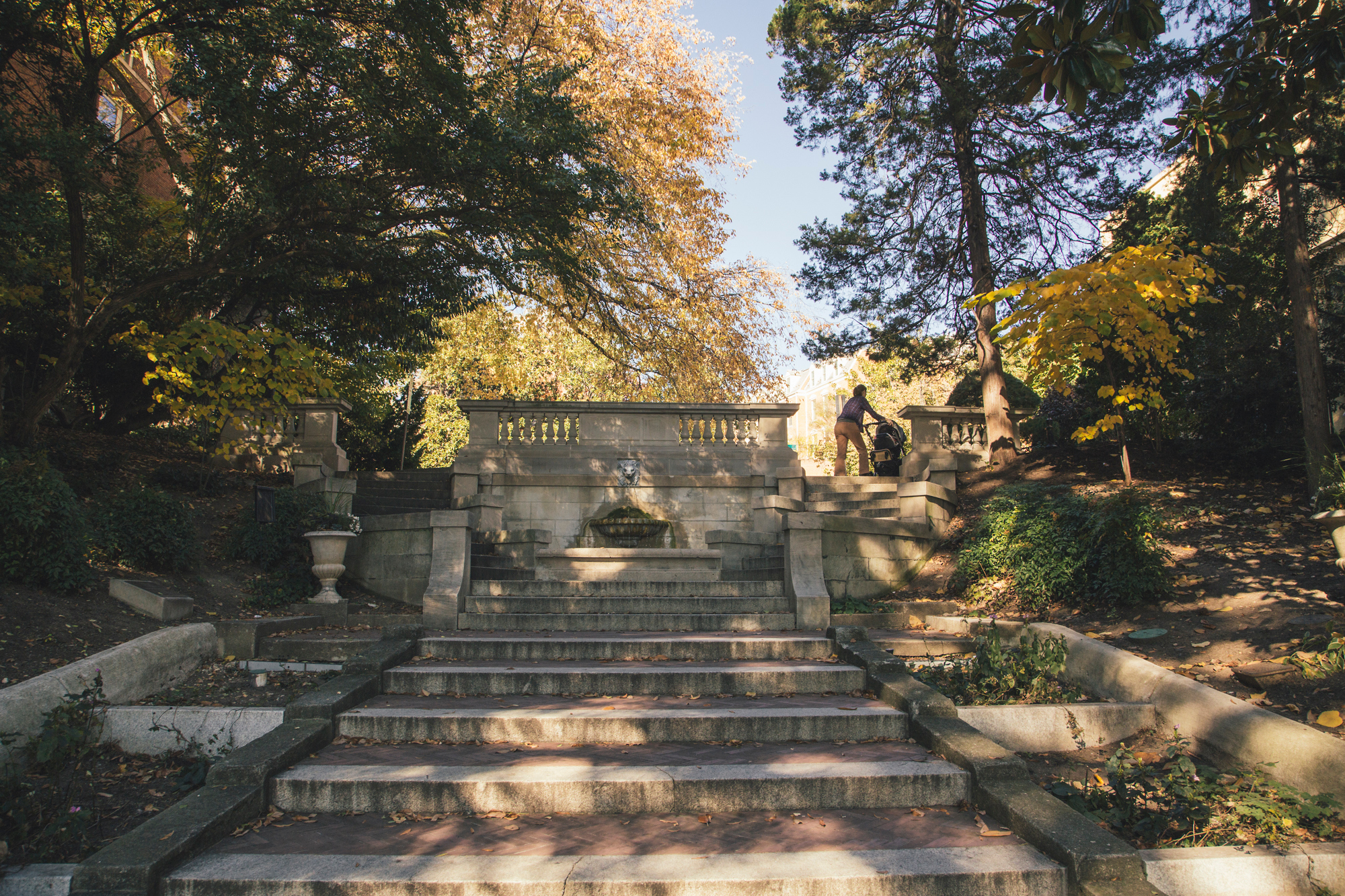The Great Outdoors Meridian Hill Park