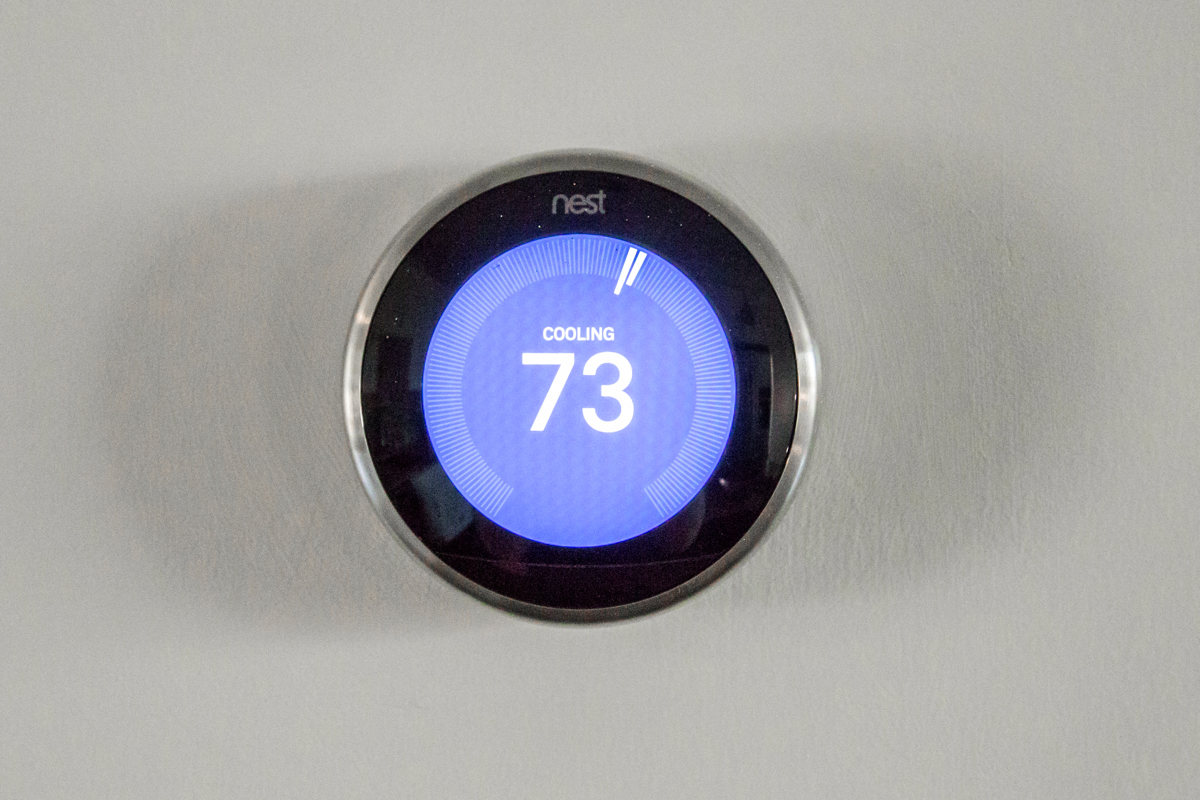 045 Nest.jpg